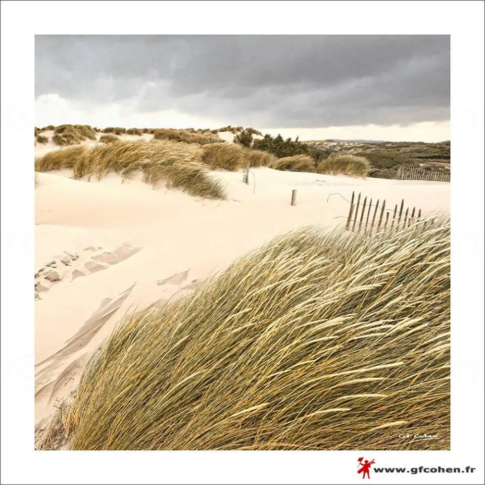 Beach in Chambre d'hôtes Les Nymphéas