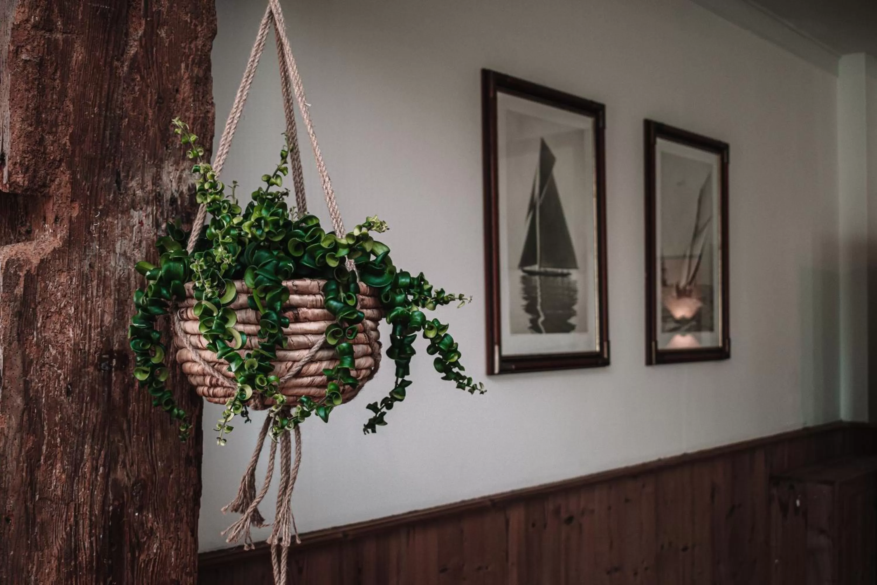 Breakfast in Friese Hoeve Sneek