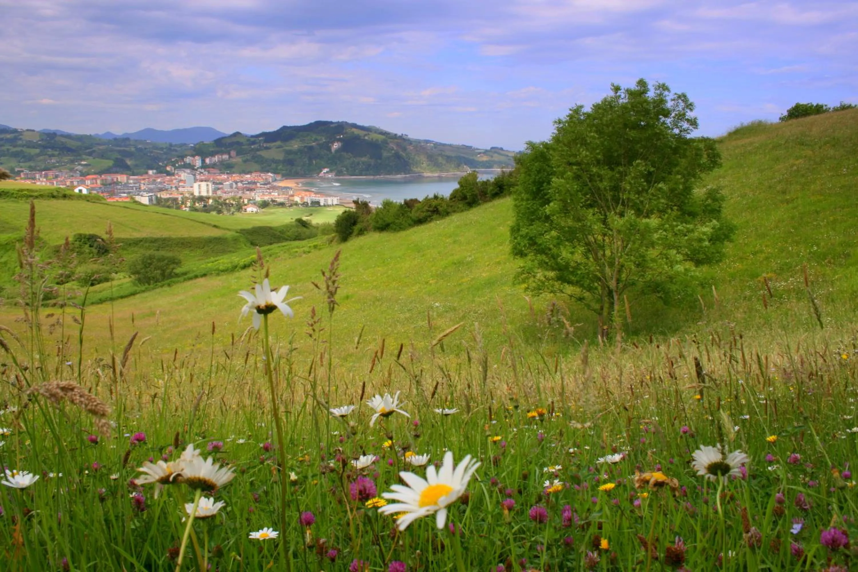 Area and facilities in Hotel Olatu