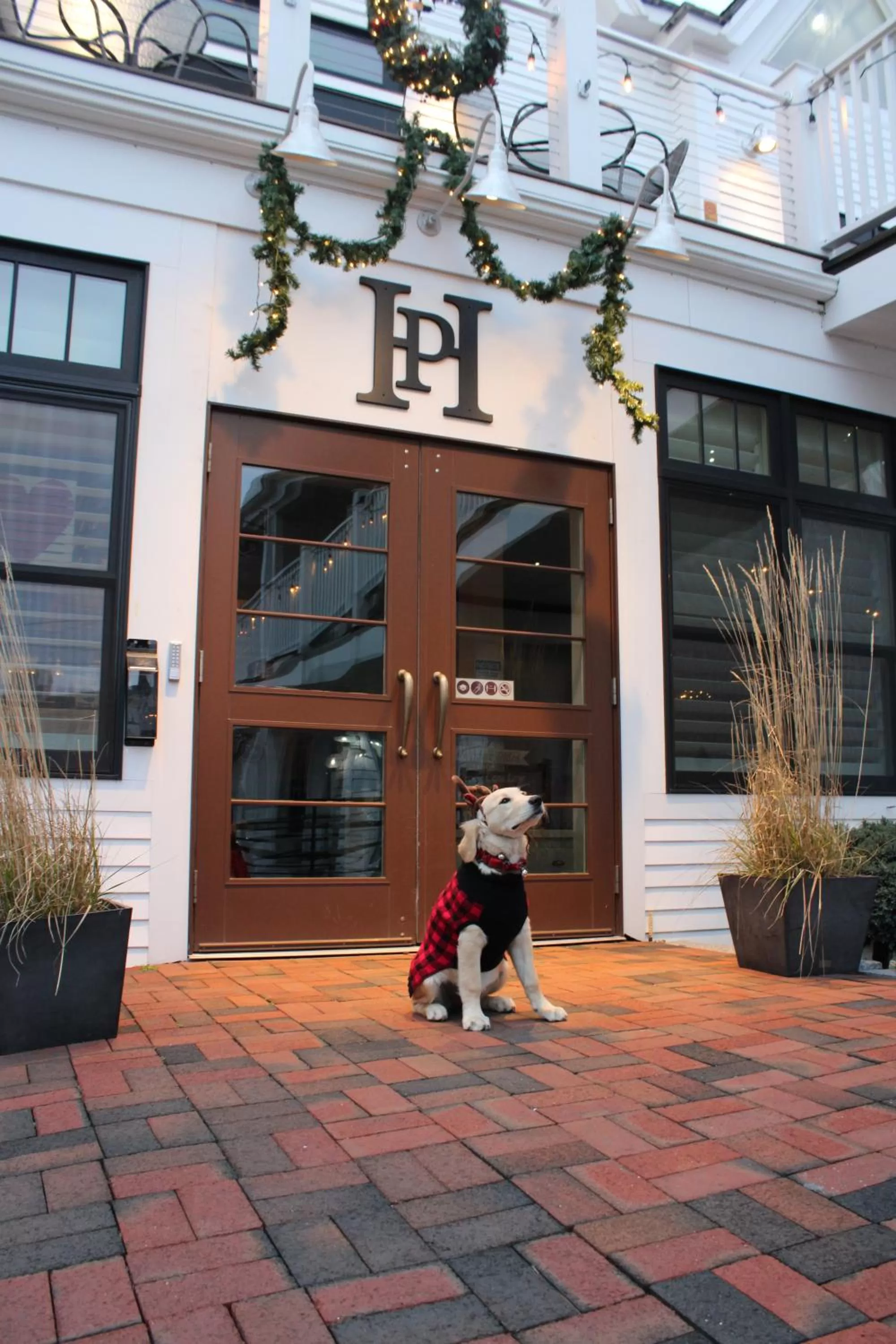 Property building in Pilgrim House