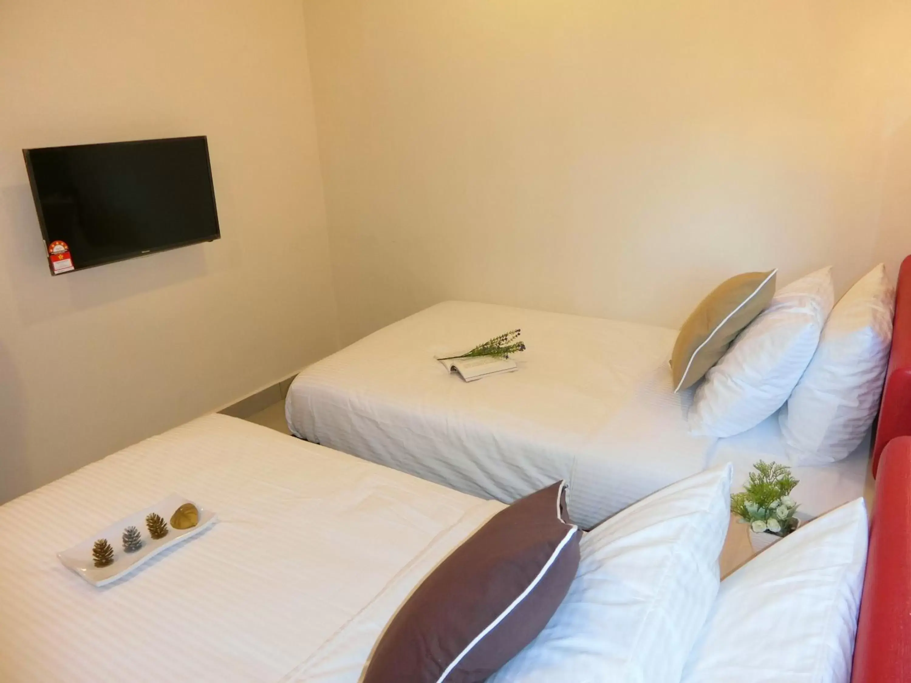 Deluxe Twin Room in Carlsun Hotel Deluxe Twin Room in Carlsun Hotel