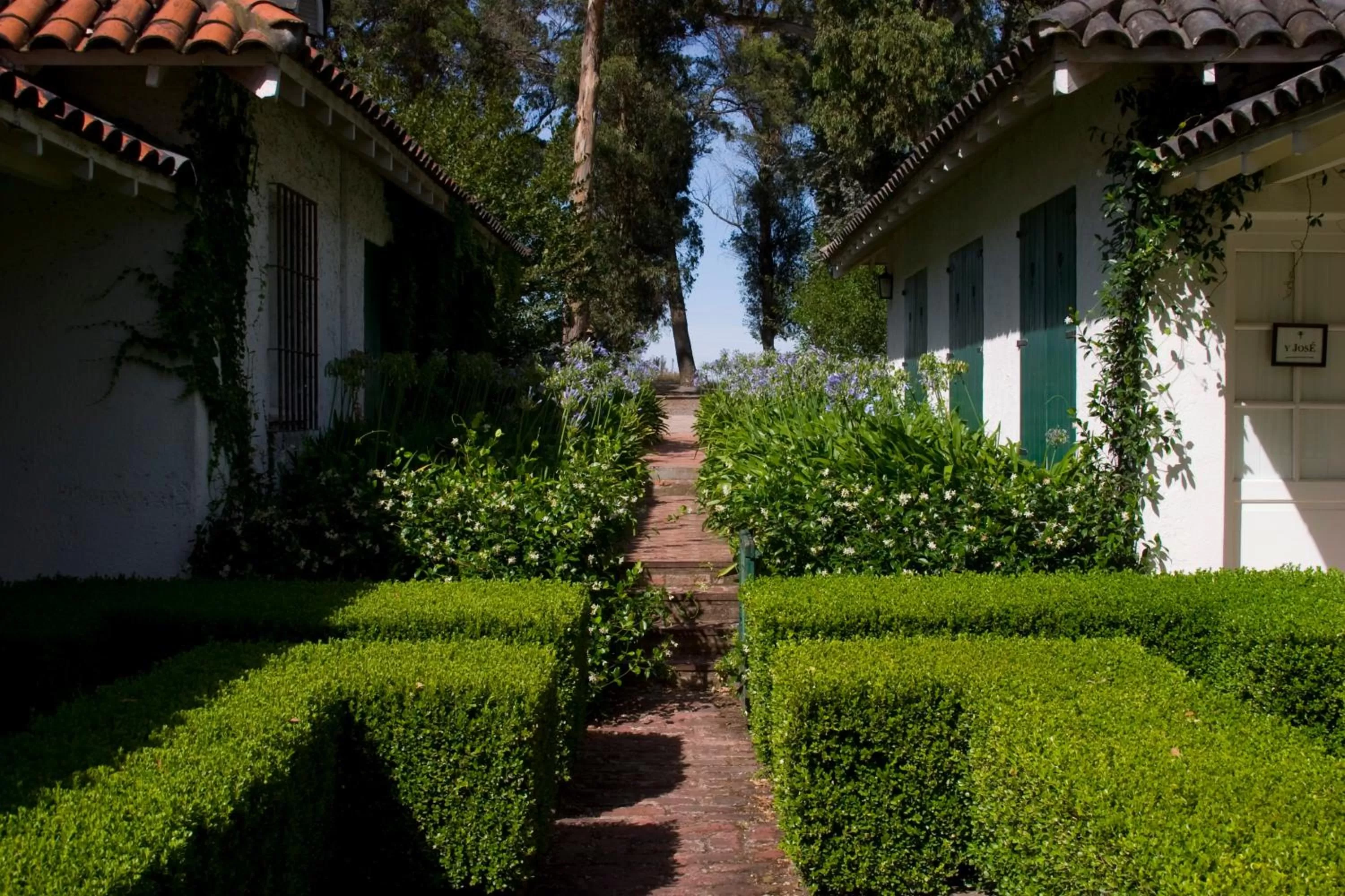Patio in Estancia Ave María
