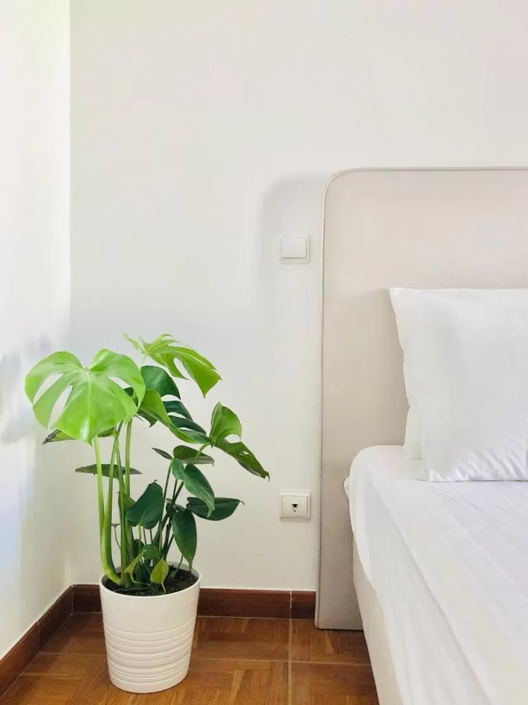 Bedroom, Bed in A Muralha