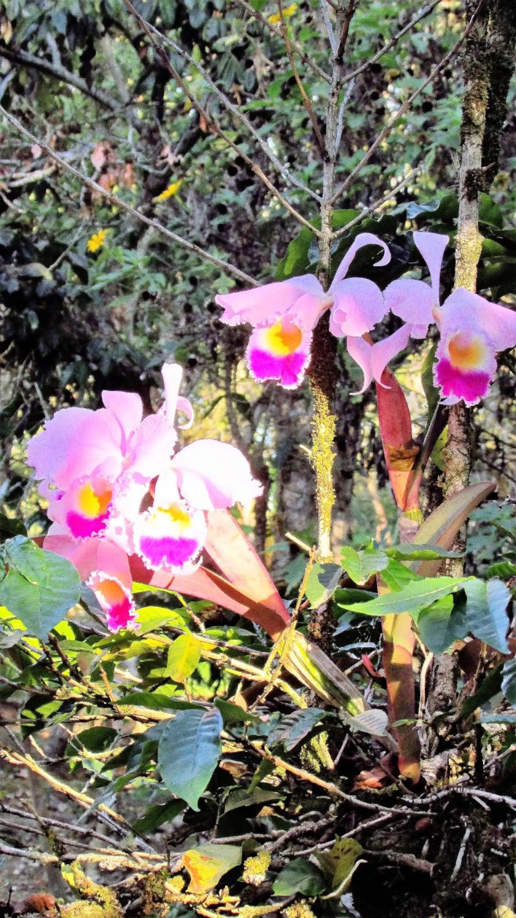 Property building in Hotel La Casa de Francois