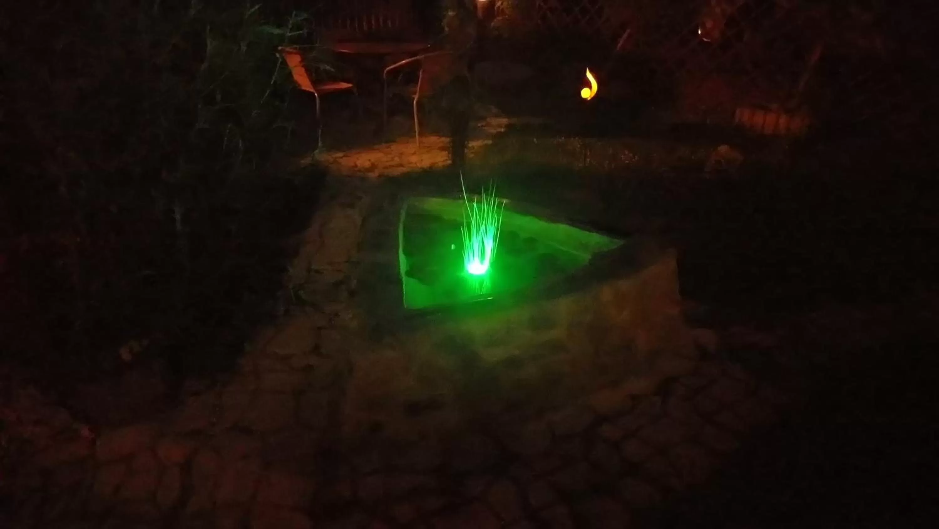 Garden, Pool View in Hotel Alfa