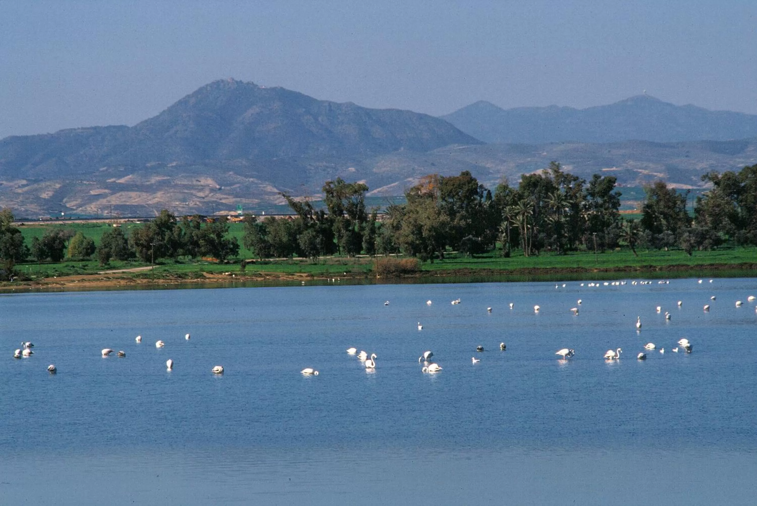 Nearby landmark in Blazer Residence