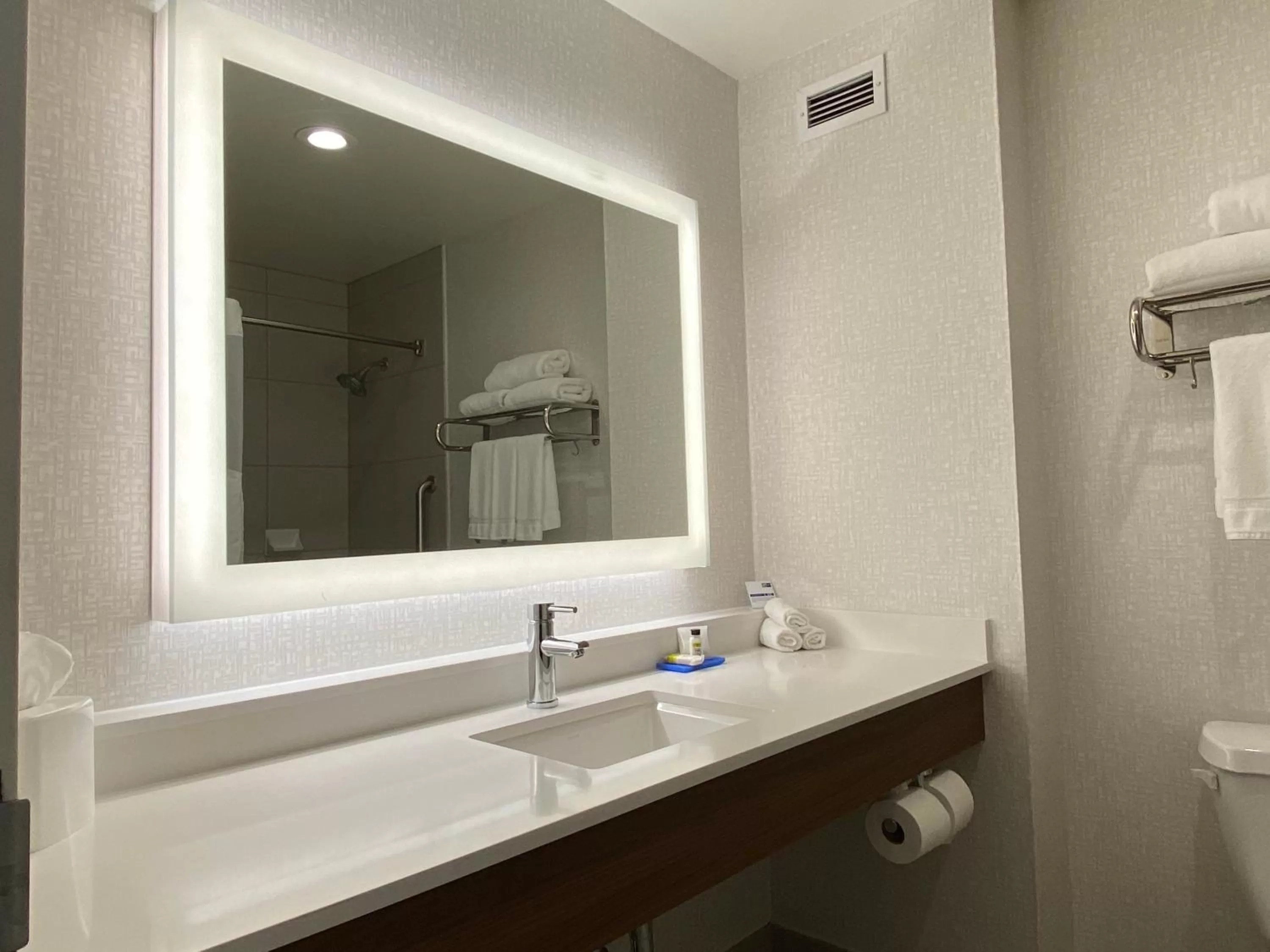 Bathroom in Holiday Inn Express & Suites Beaumont - Oak Valley by IHG