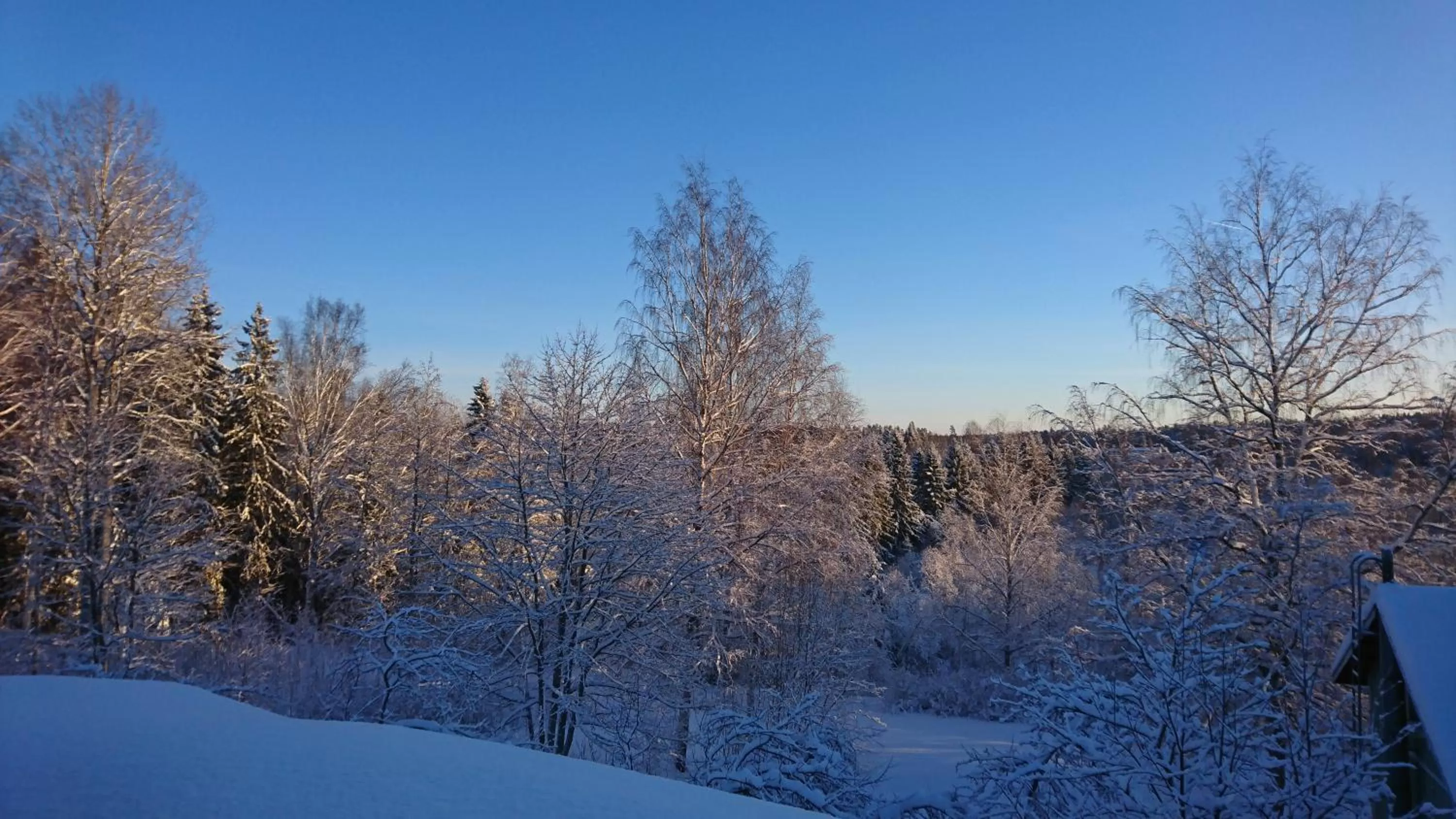 View (from property/room) in Villa Jokivarsi Bed & Breakfast