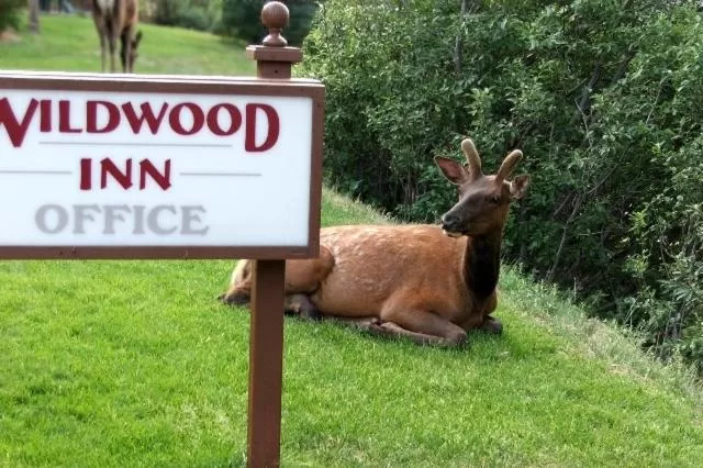 Other in Wildwood Inn