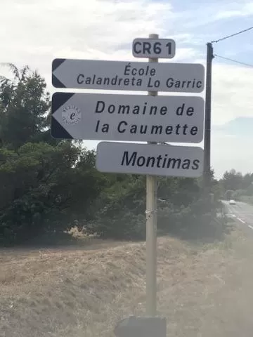 La cactée singulière