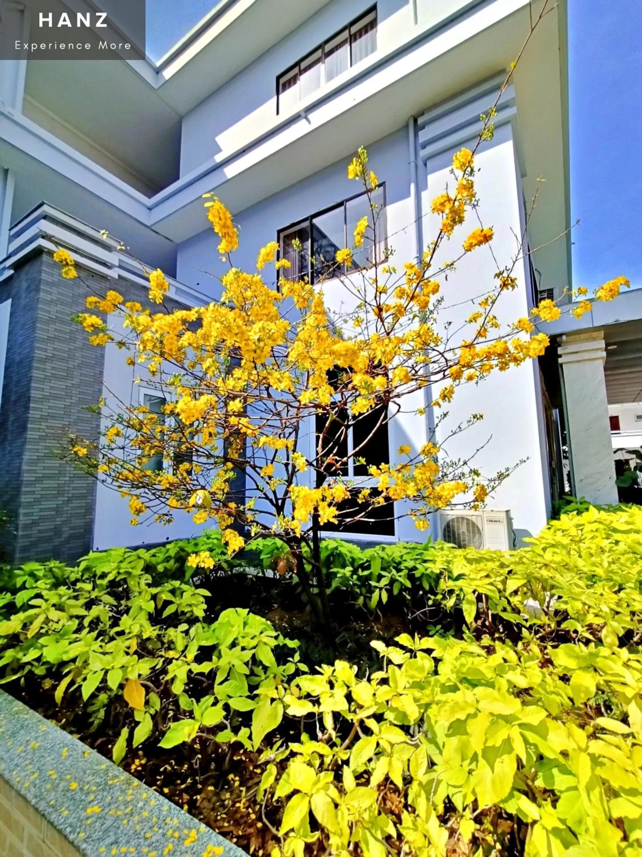 Bo Xay Dung Vung Tau