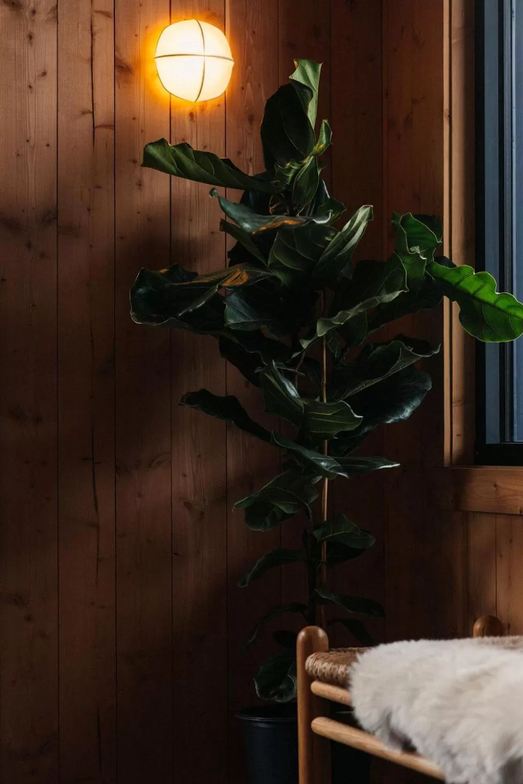 Lobby or reception in Apres Whitefish