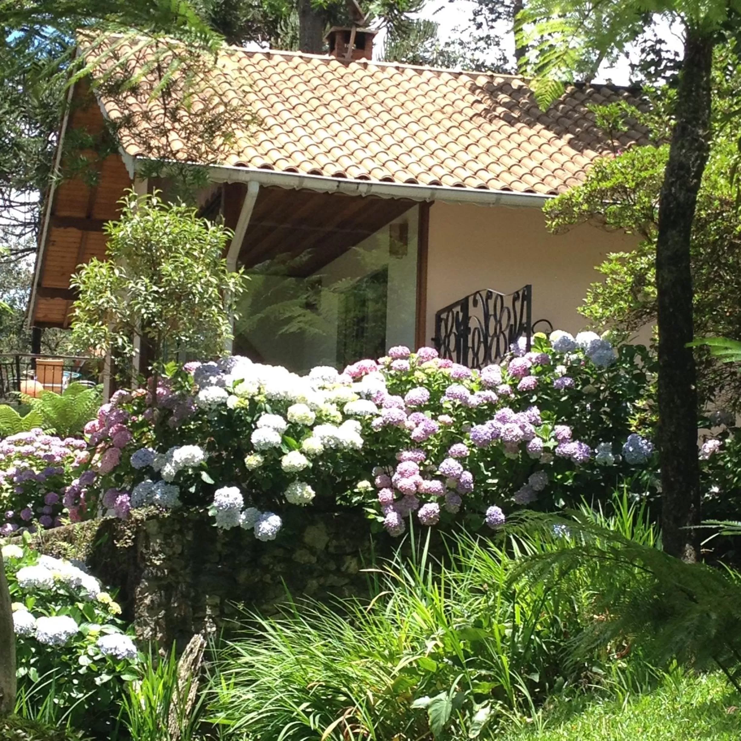Balcony/Terrace in Pousada Ricanto Amore Mio