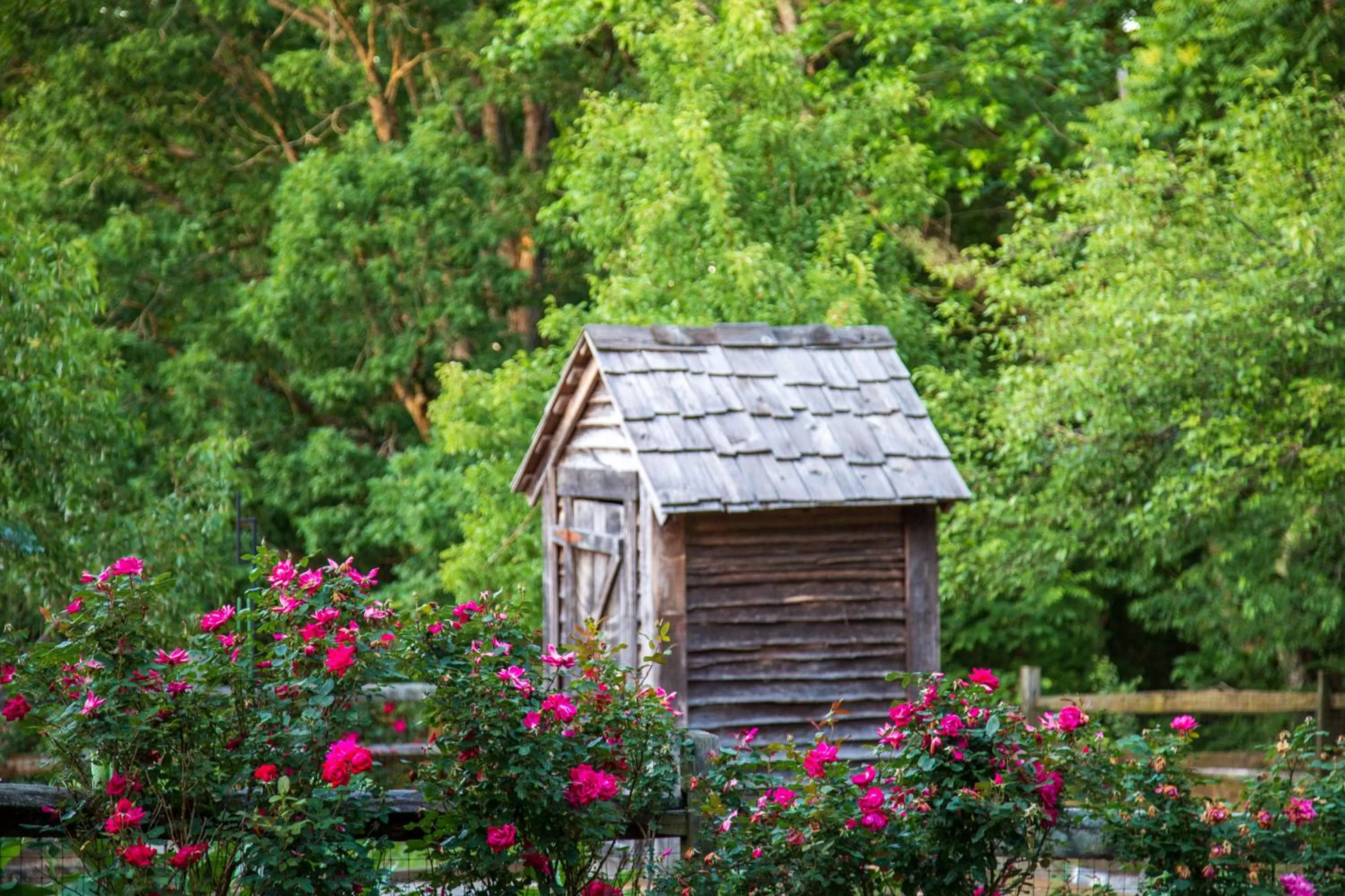 Property Building in Brierley Hill Bed & Breakfast