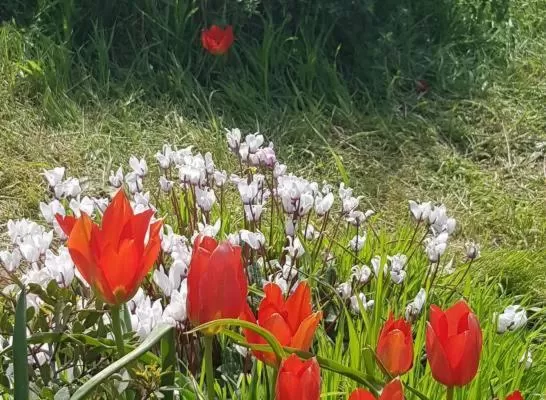 Hiking in Danielle boutique suite