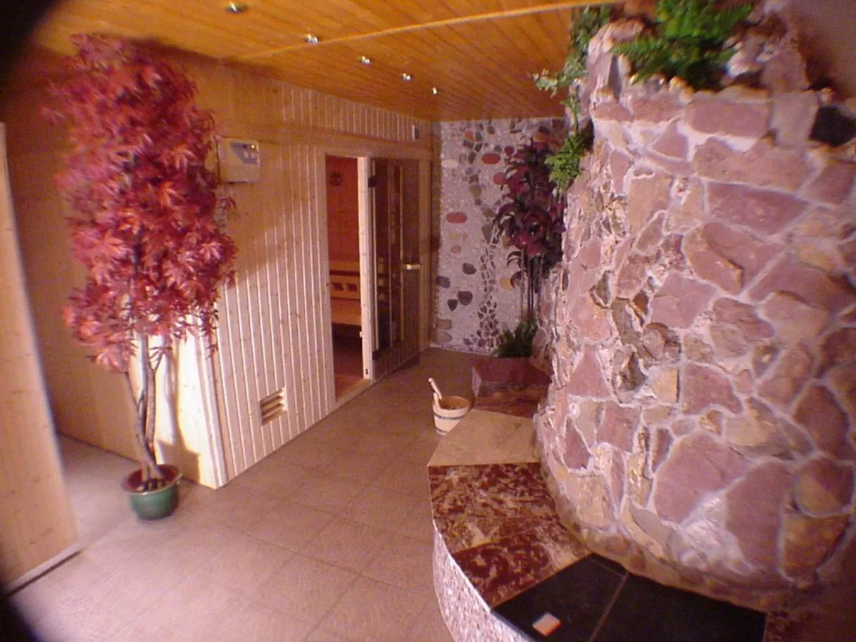 Spa and wellness centre/facilities in Zum Roten Hirsch im Grünen Wald