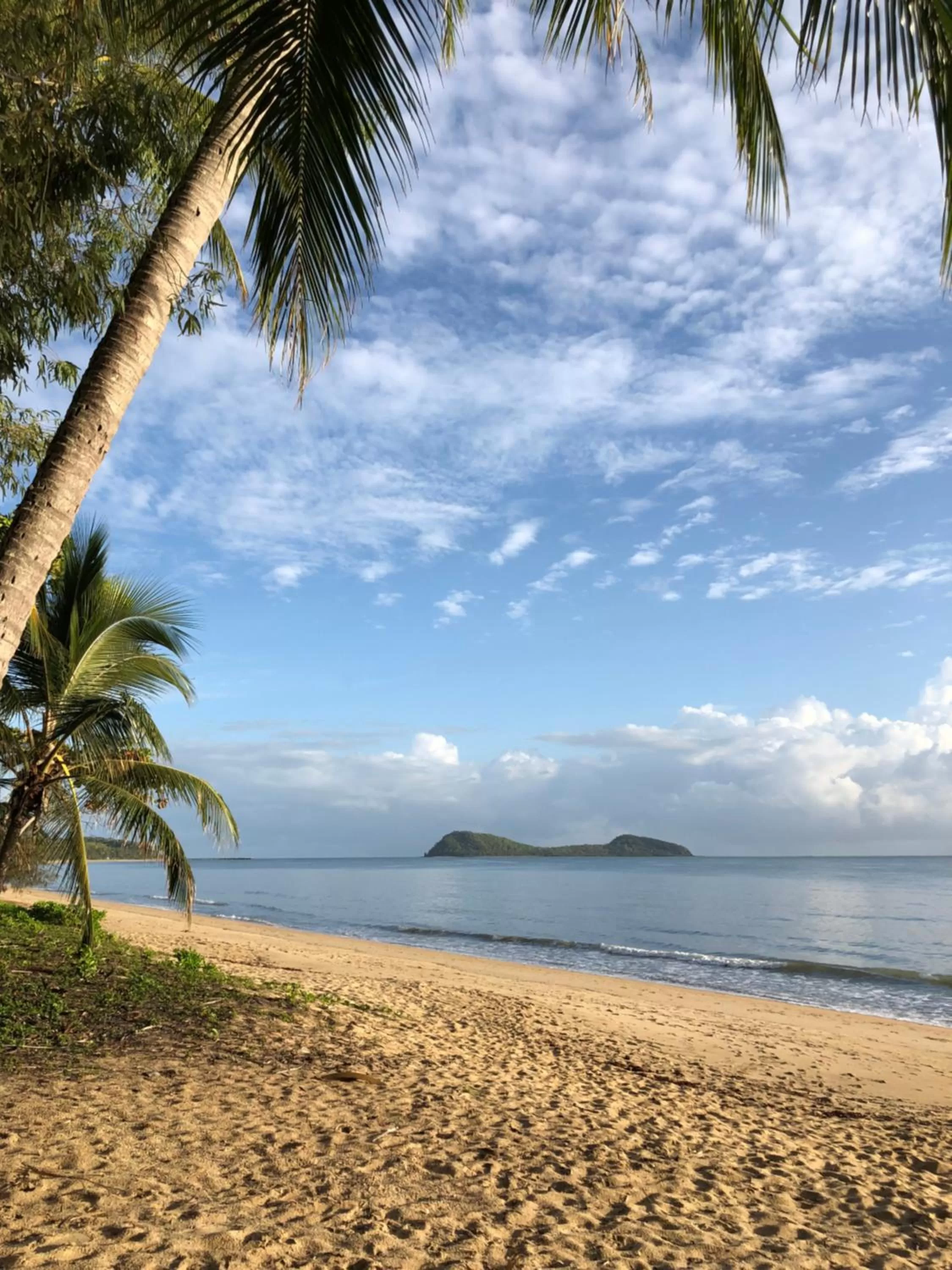 Day in Villa Beach Palm Cove
