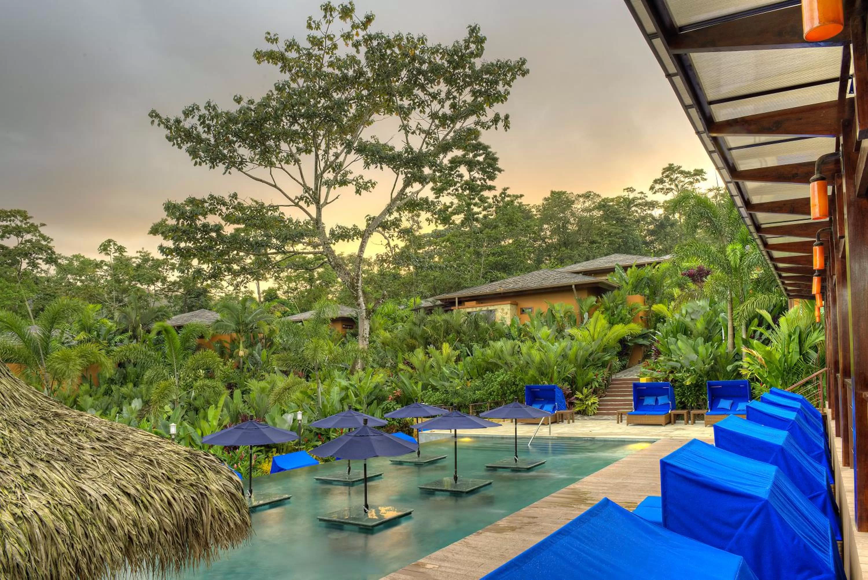 Swimming pool in Nayara Springs - Adults Only