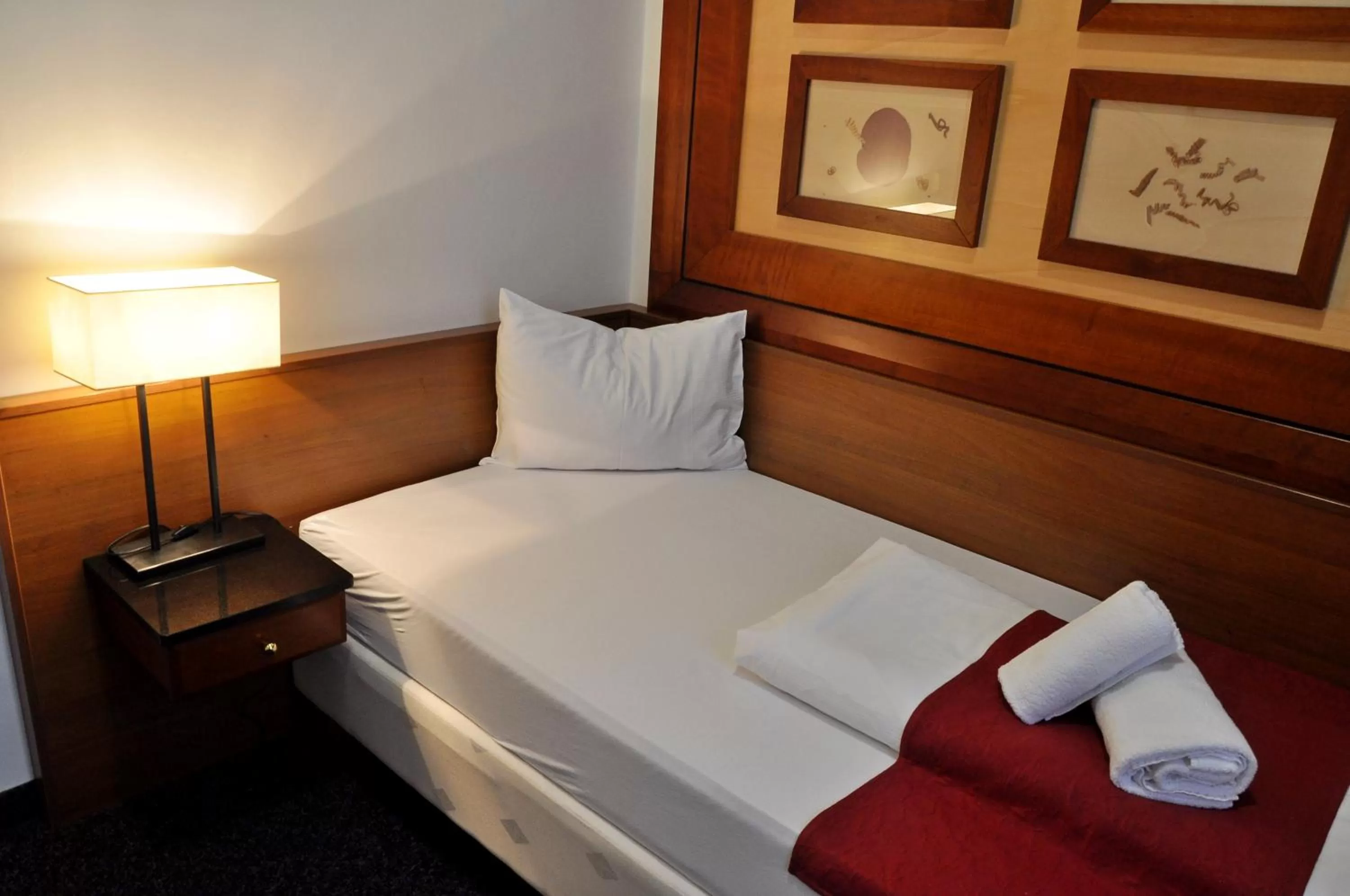 Photo of the whole room in Hotel U Bílého koně