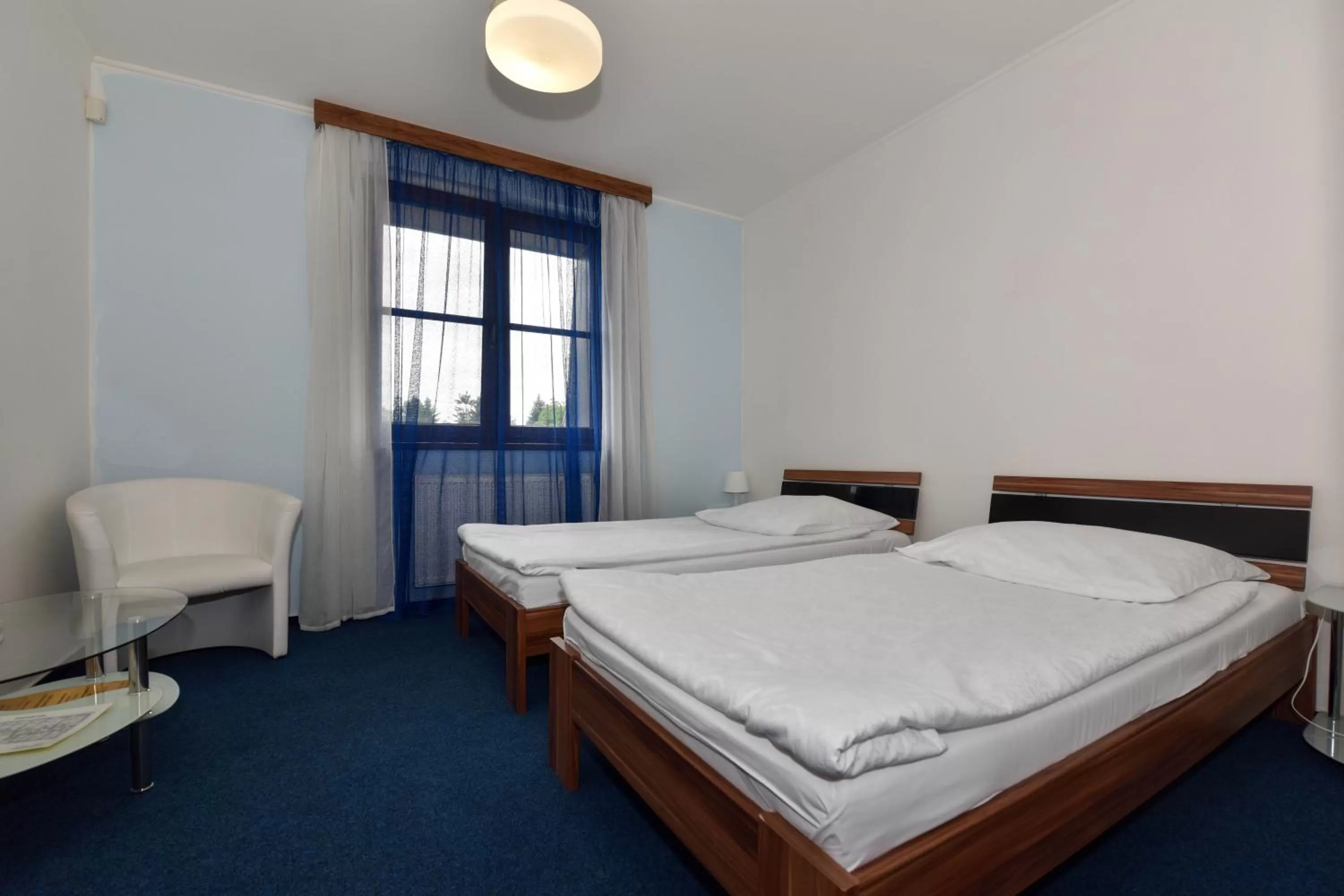 Shower, Bed in Hotel Trilobit