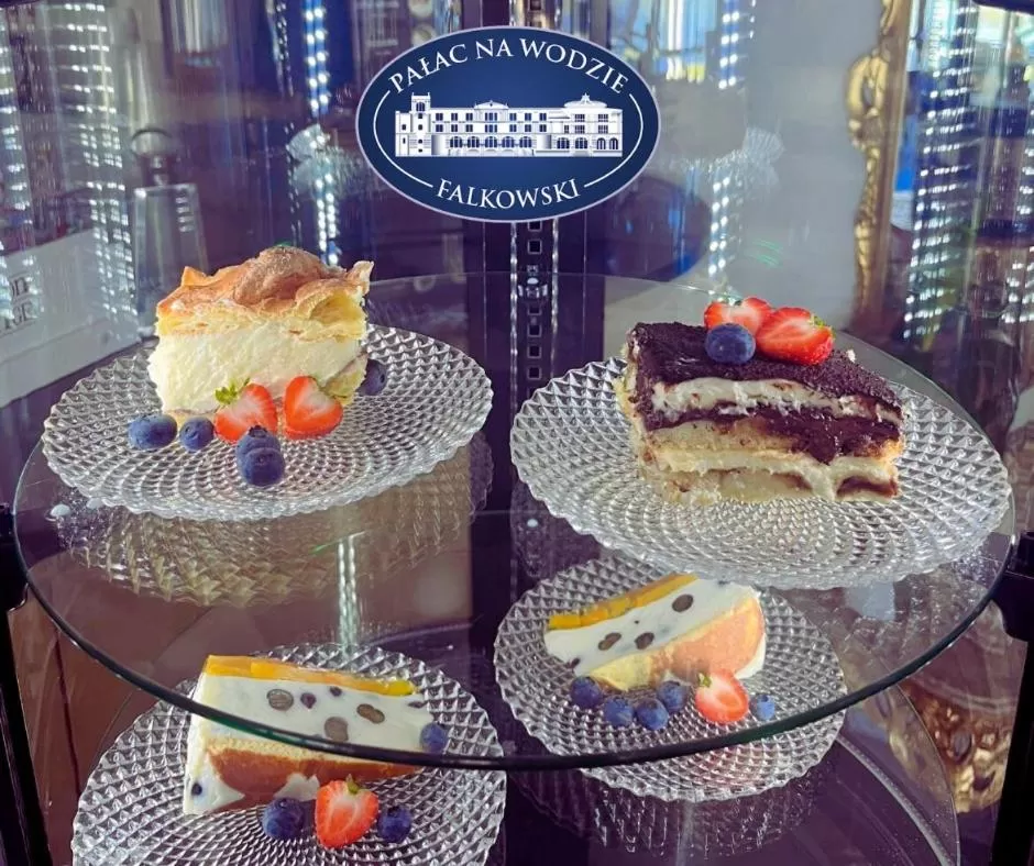 Pałac na wodzie Falkowski Medical & SPA & Conference