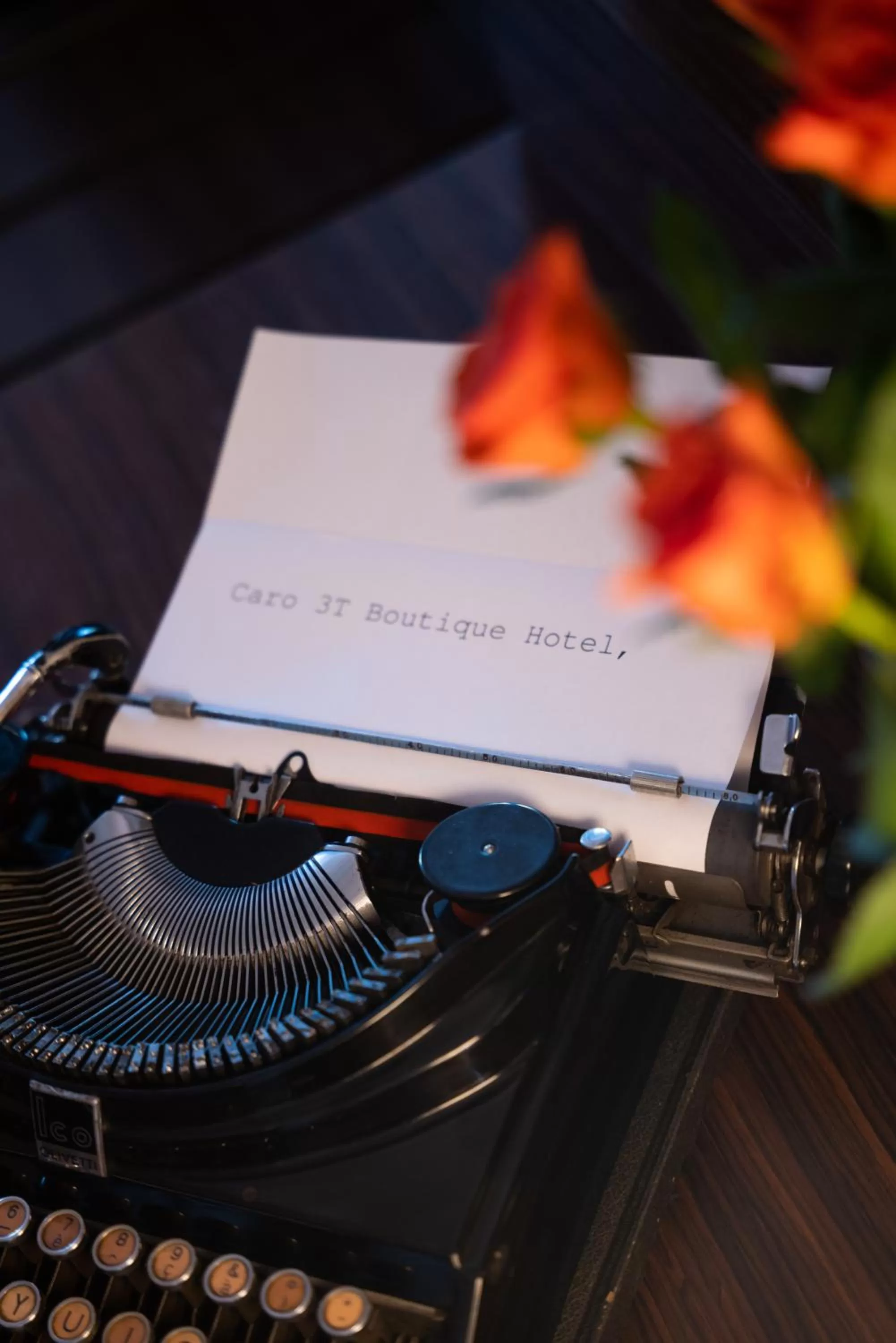 Decorative detail in 3T Boutique Hotel