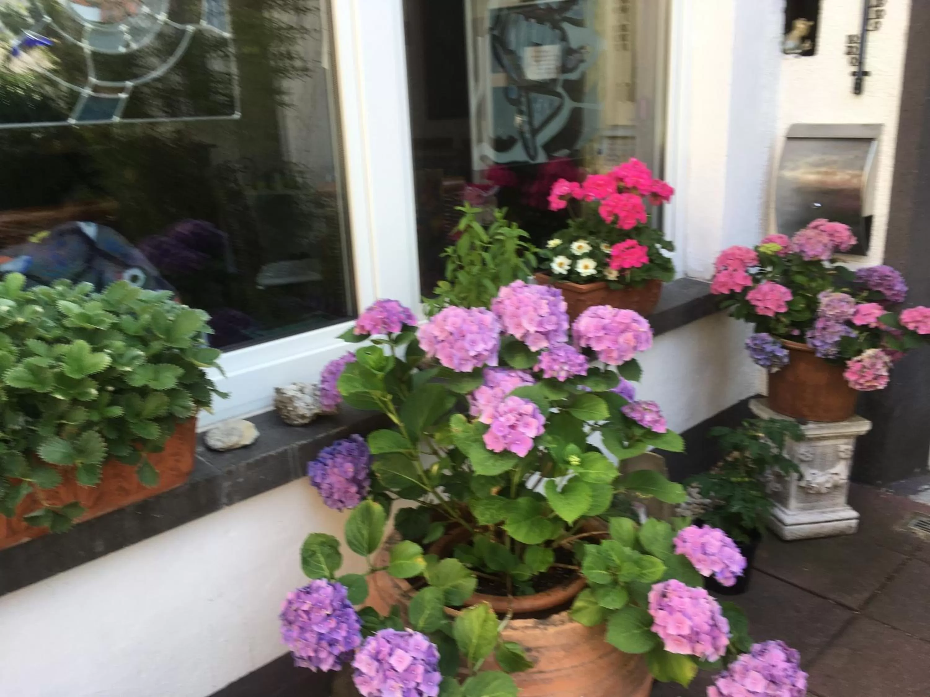 Property building in Gaestehaus Klaus