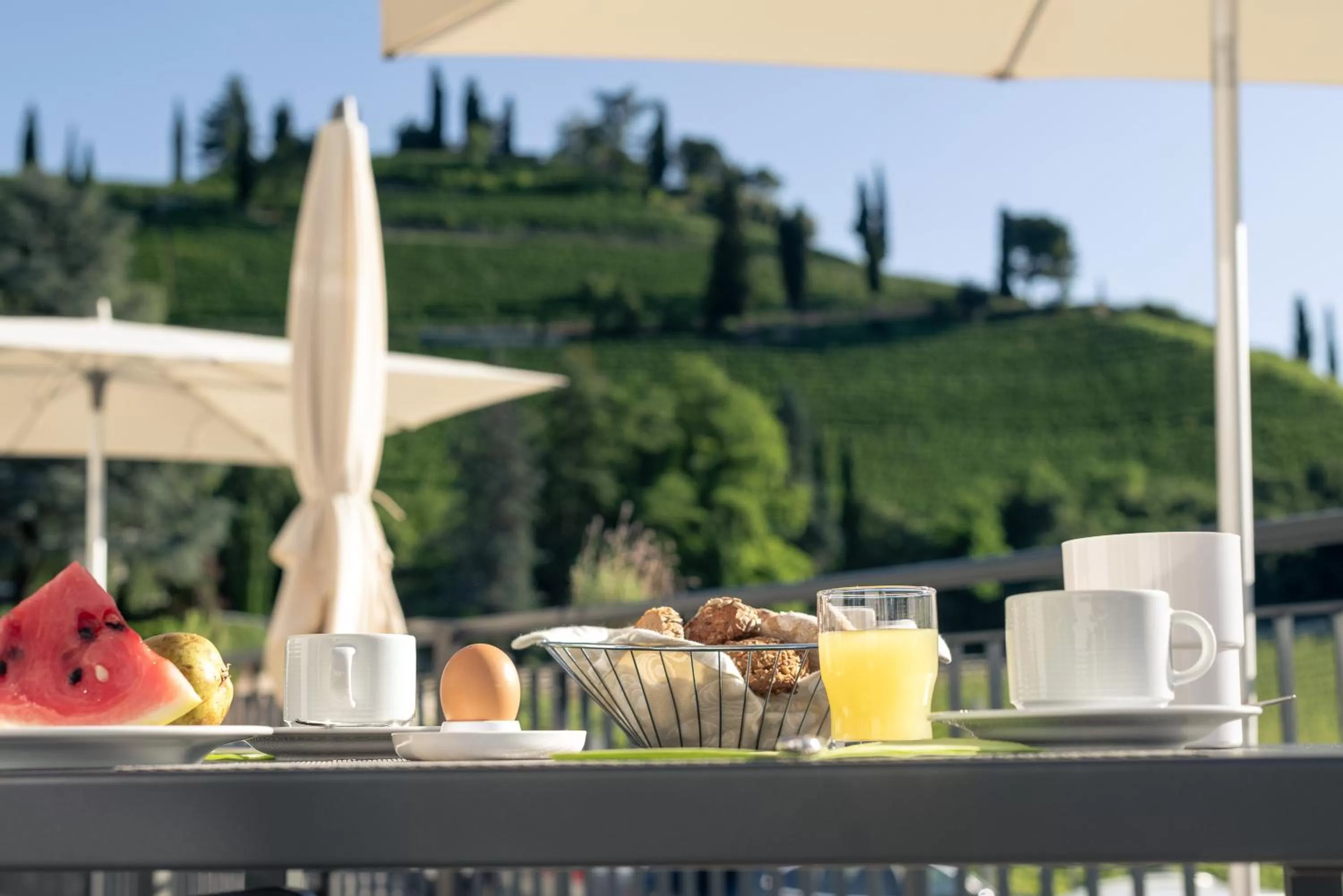 Balcony/Terrace in Residence Garni Hotel Vineus