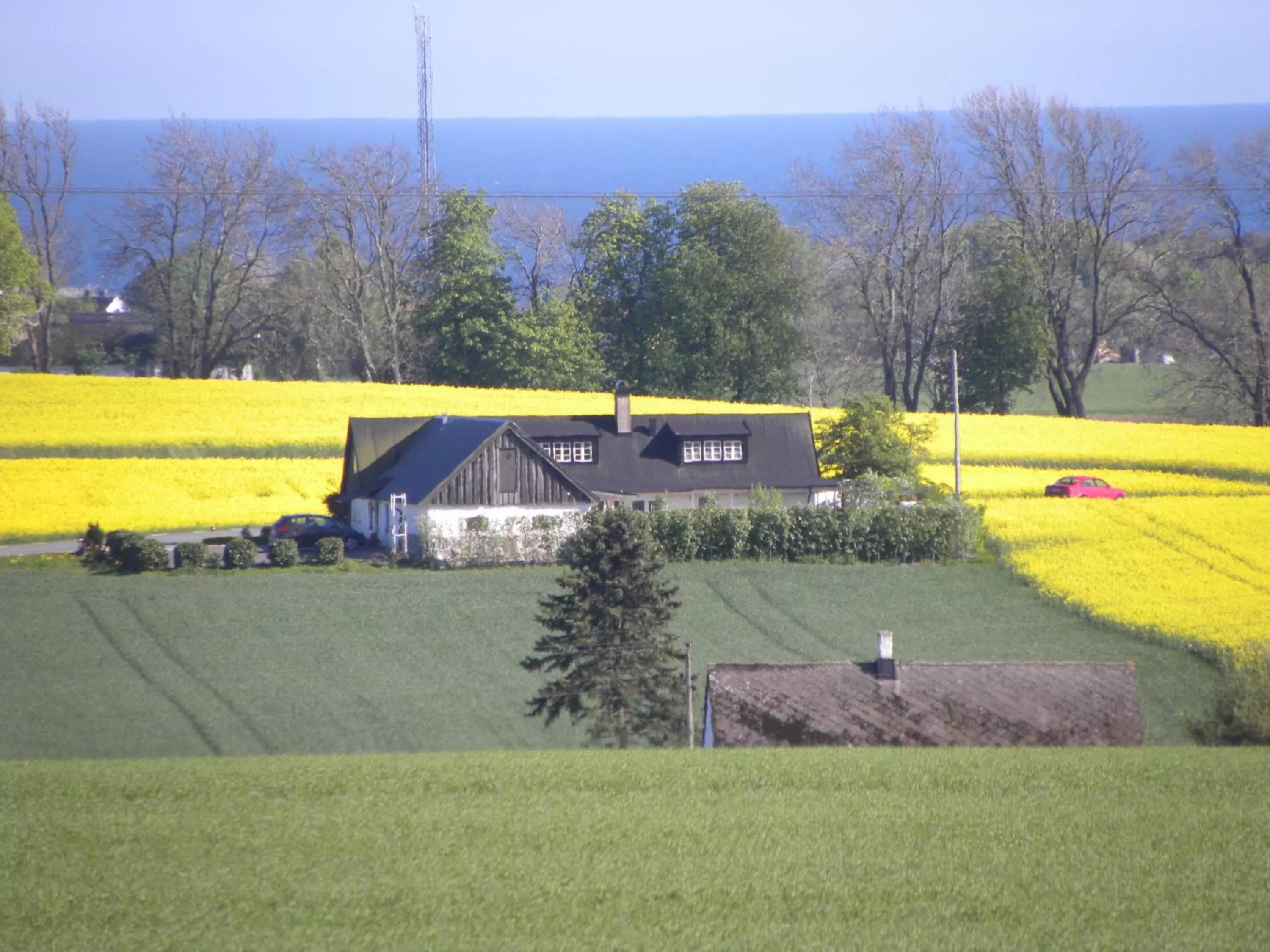 Area and facilities in Glimminge Bed & Breakfast