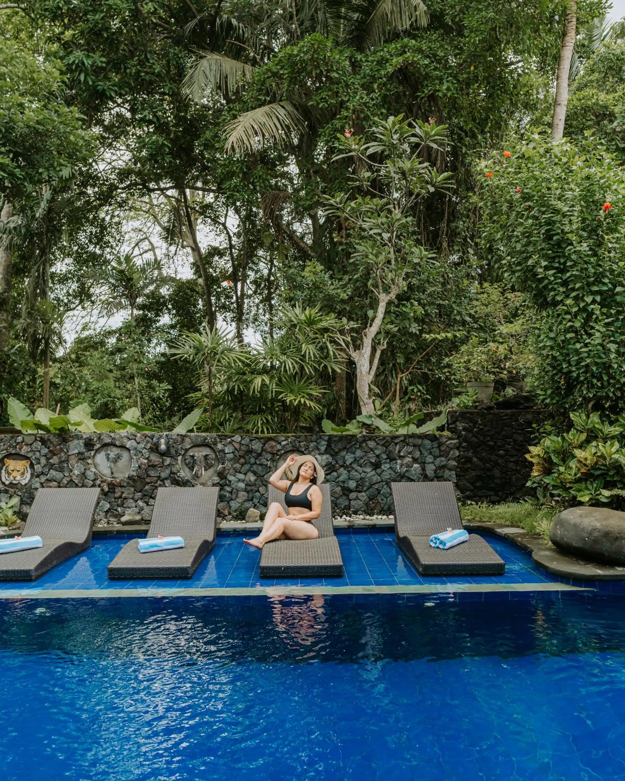 Swimming pool in Dewangga Ubud