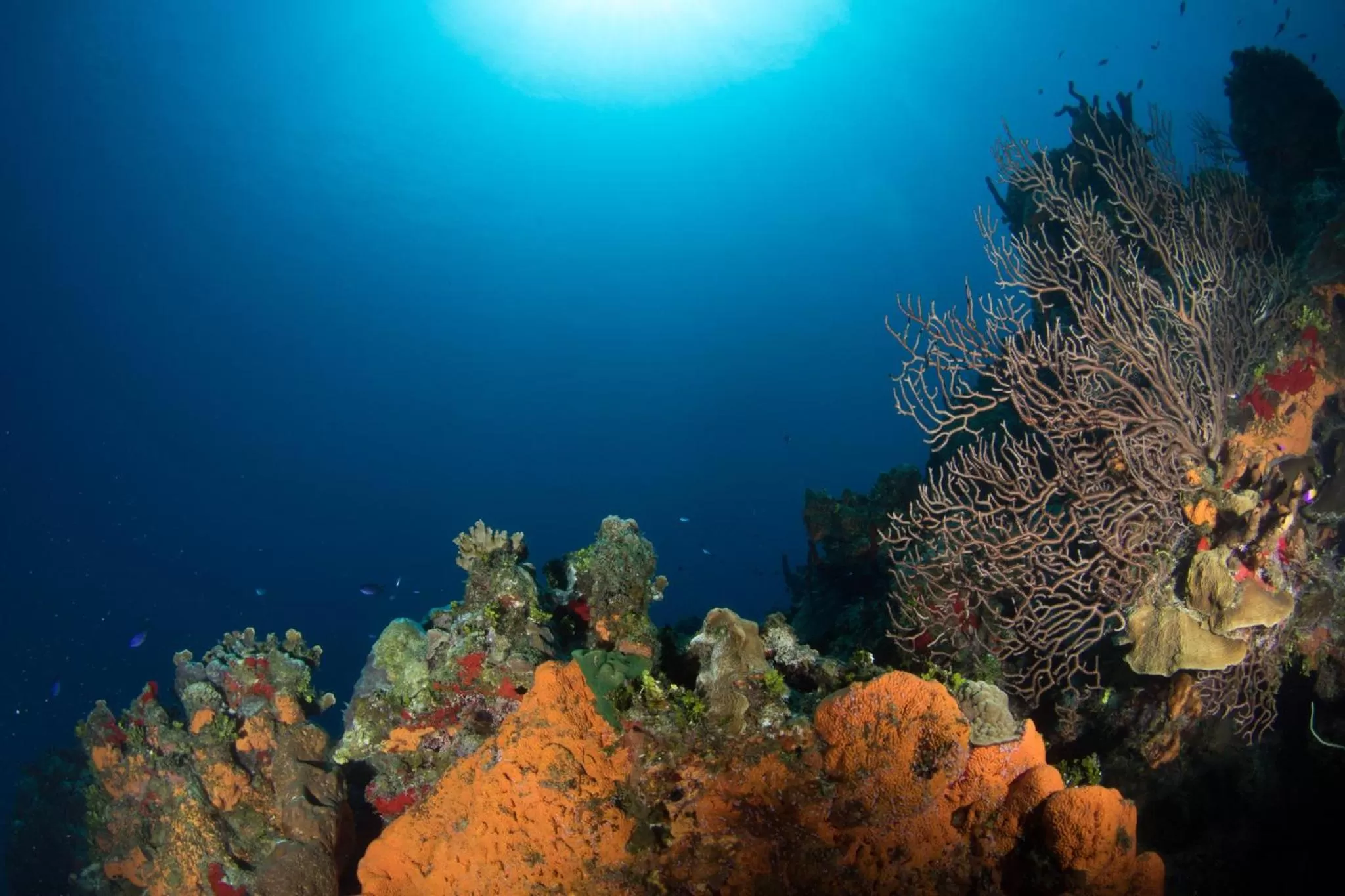 Nearby landmark in Holiday Inn Resort Grand Cayman by IHG