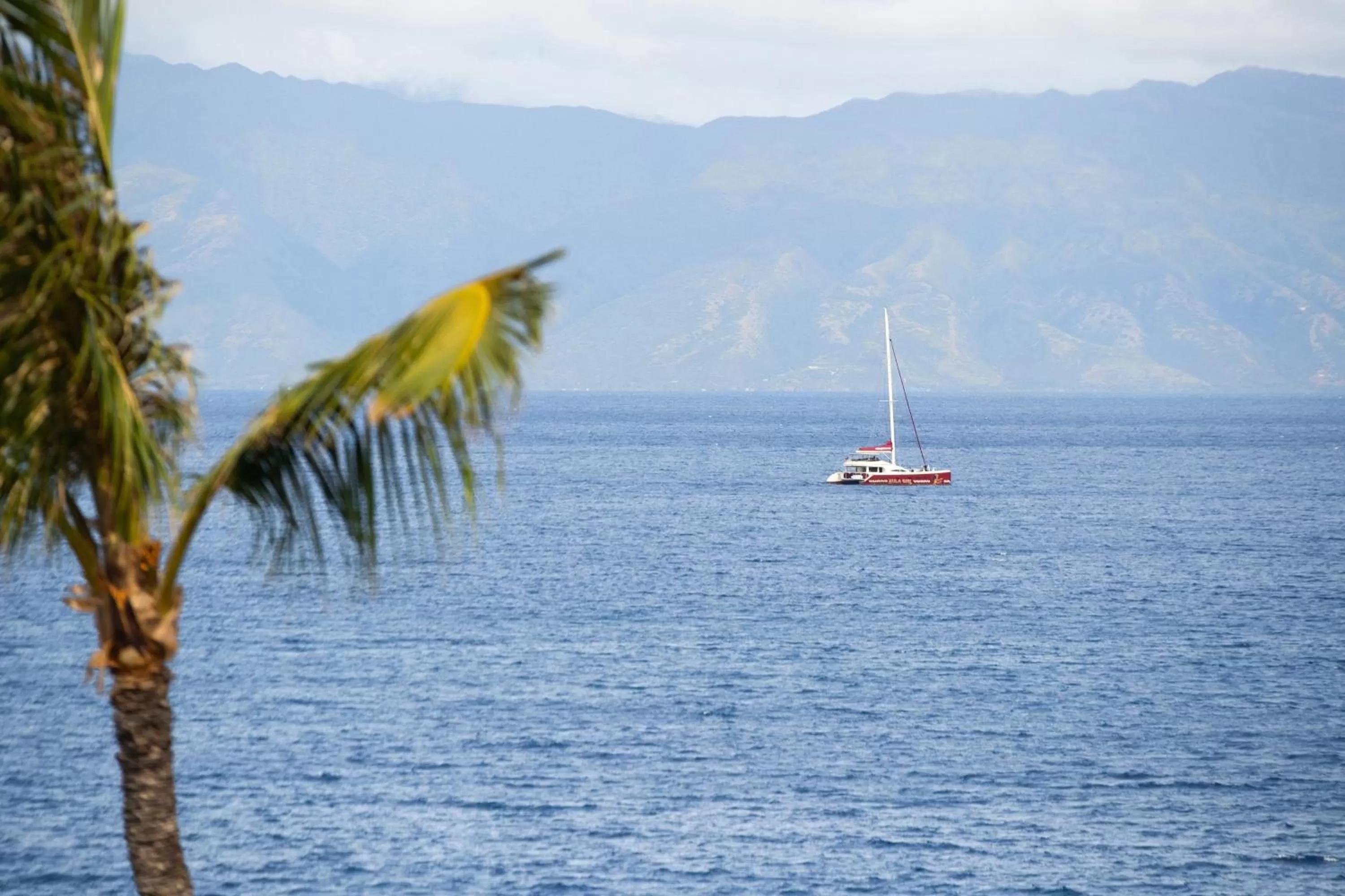Photo of the whole room in Sheraton Maui Resort & Spa