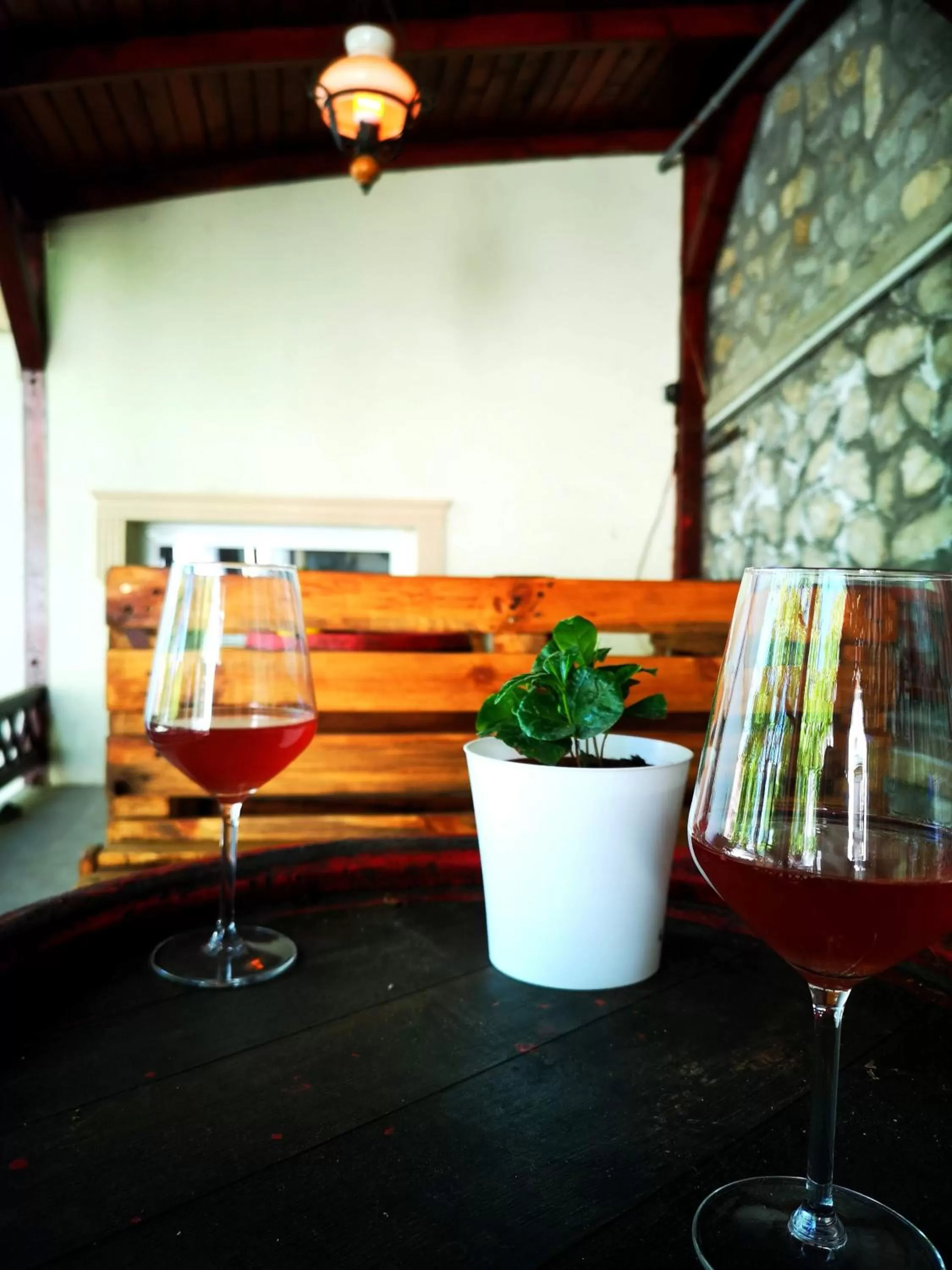 Drinks in Zöld Sziget Wellness