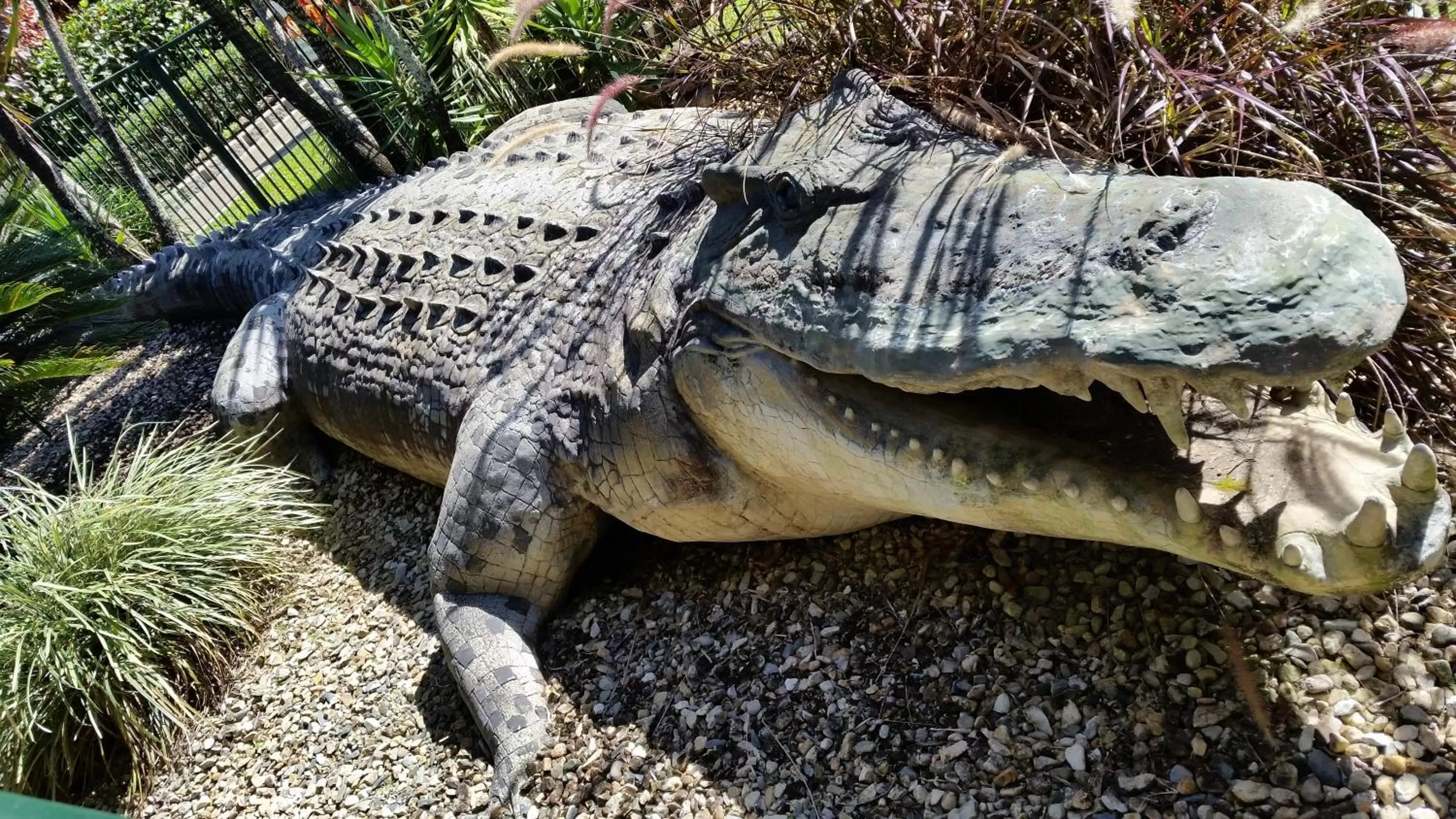 Natural landscape in Cairns Gateway Resort