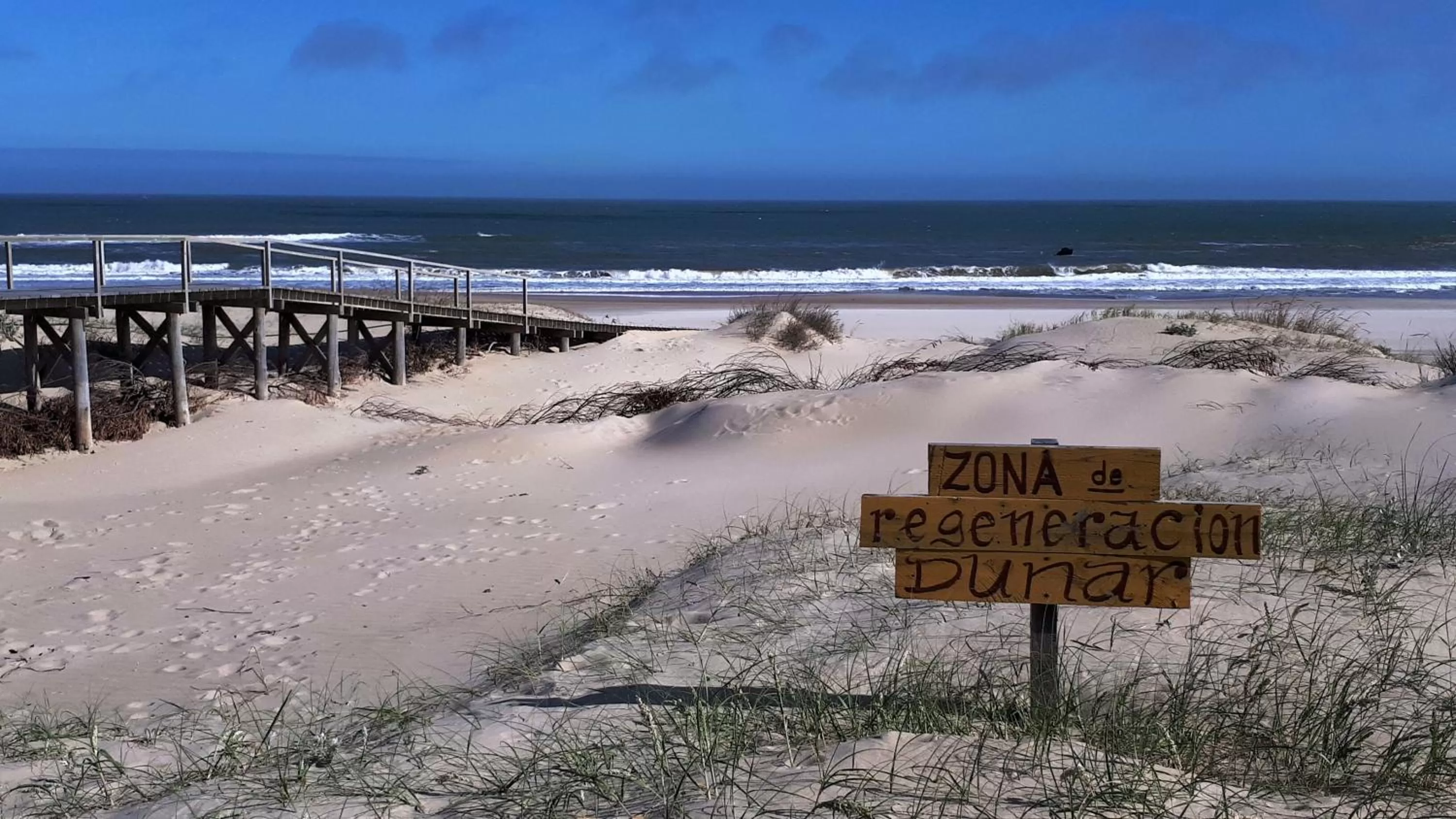 Beach in La Maison Suites & Gastronomía