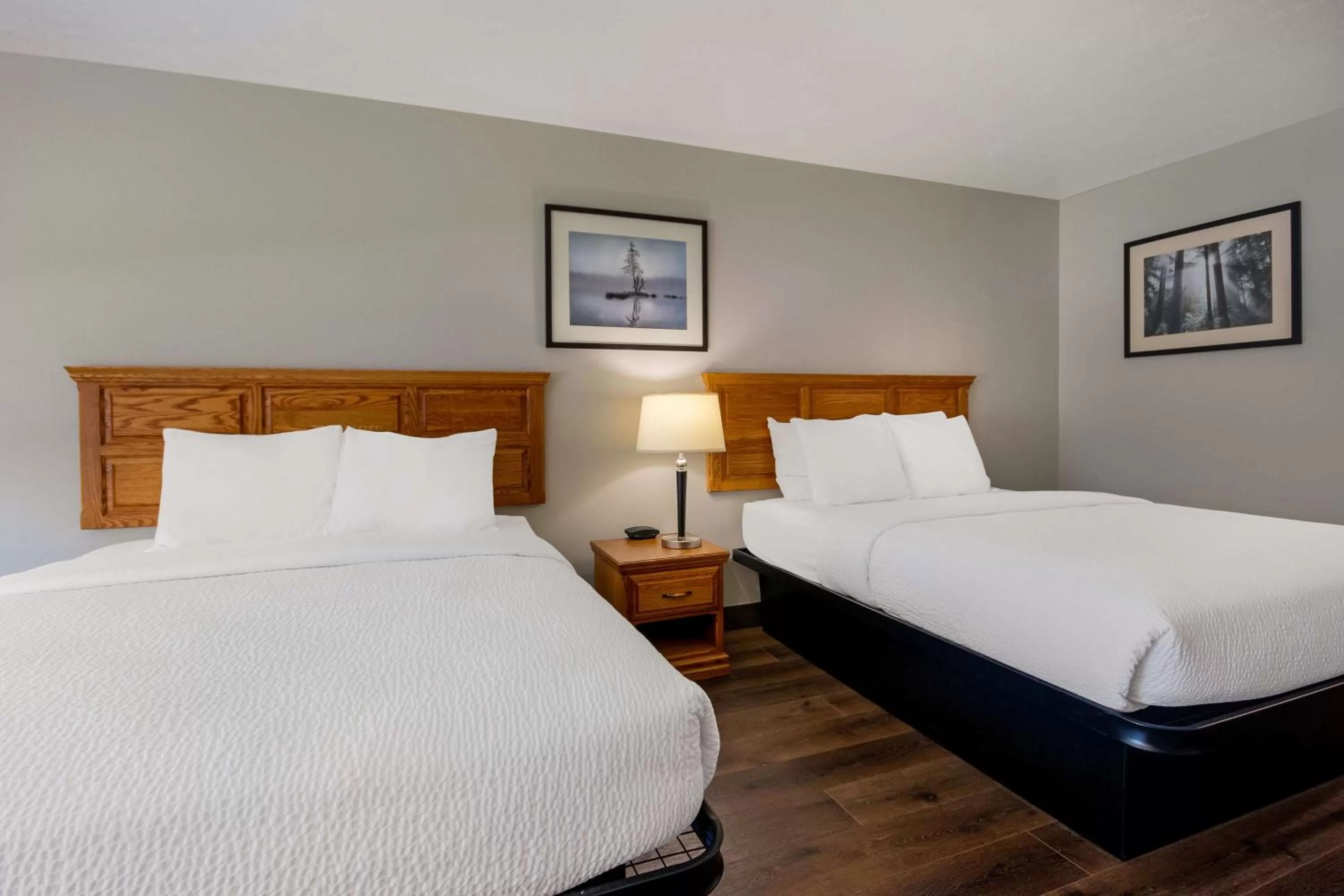 Bedroom, Bed in SureStay Plus Hotel by Best Western Rexburg