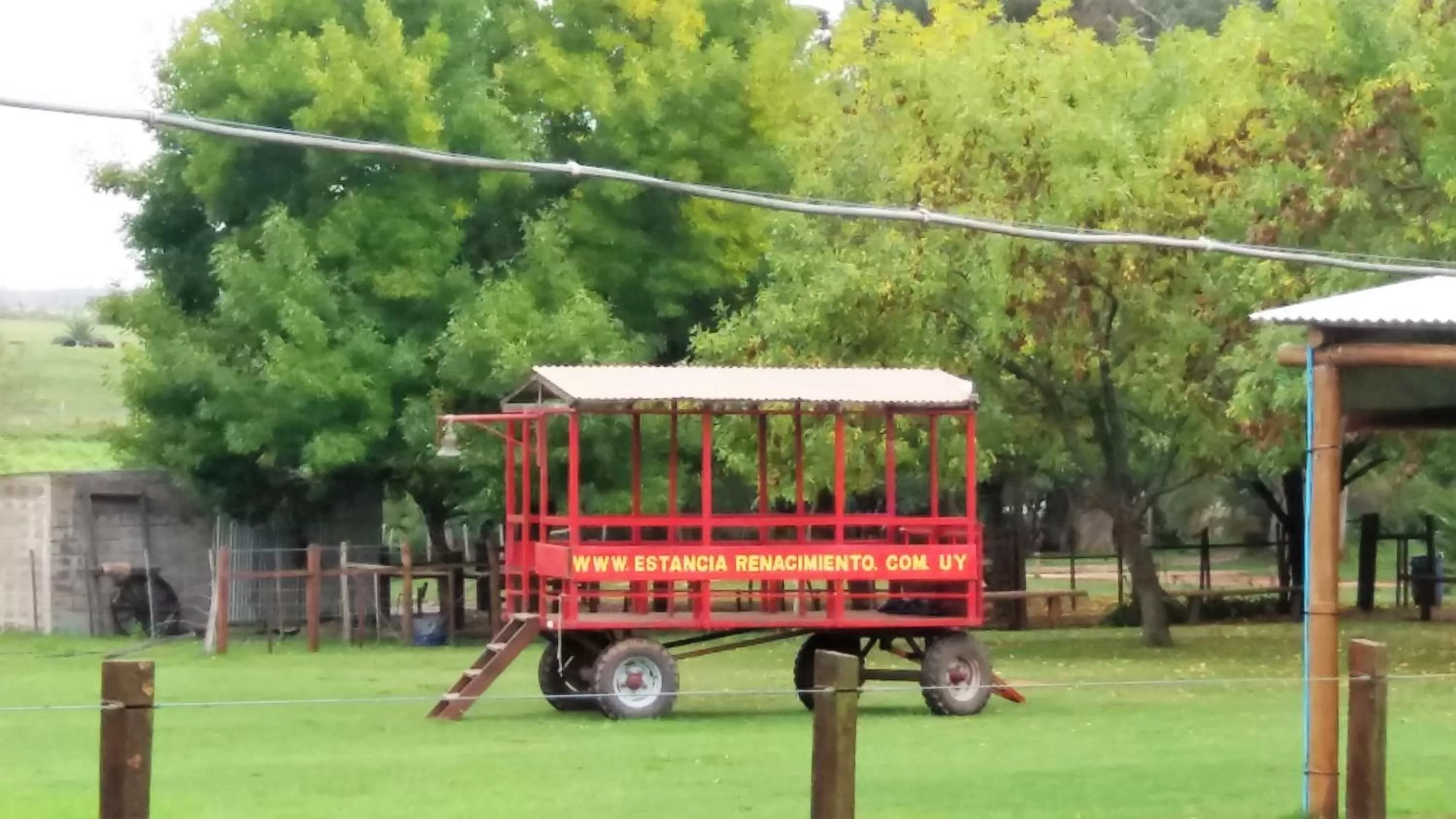 Activities in Estancia Renacimiento