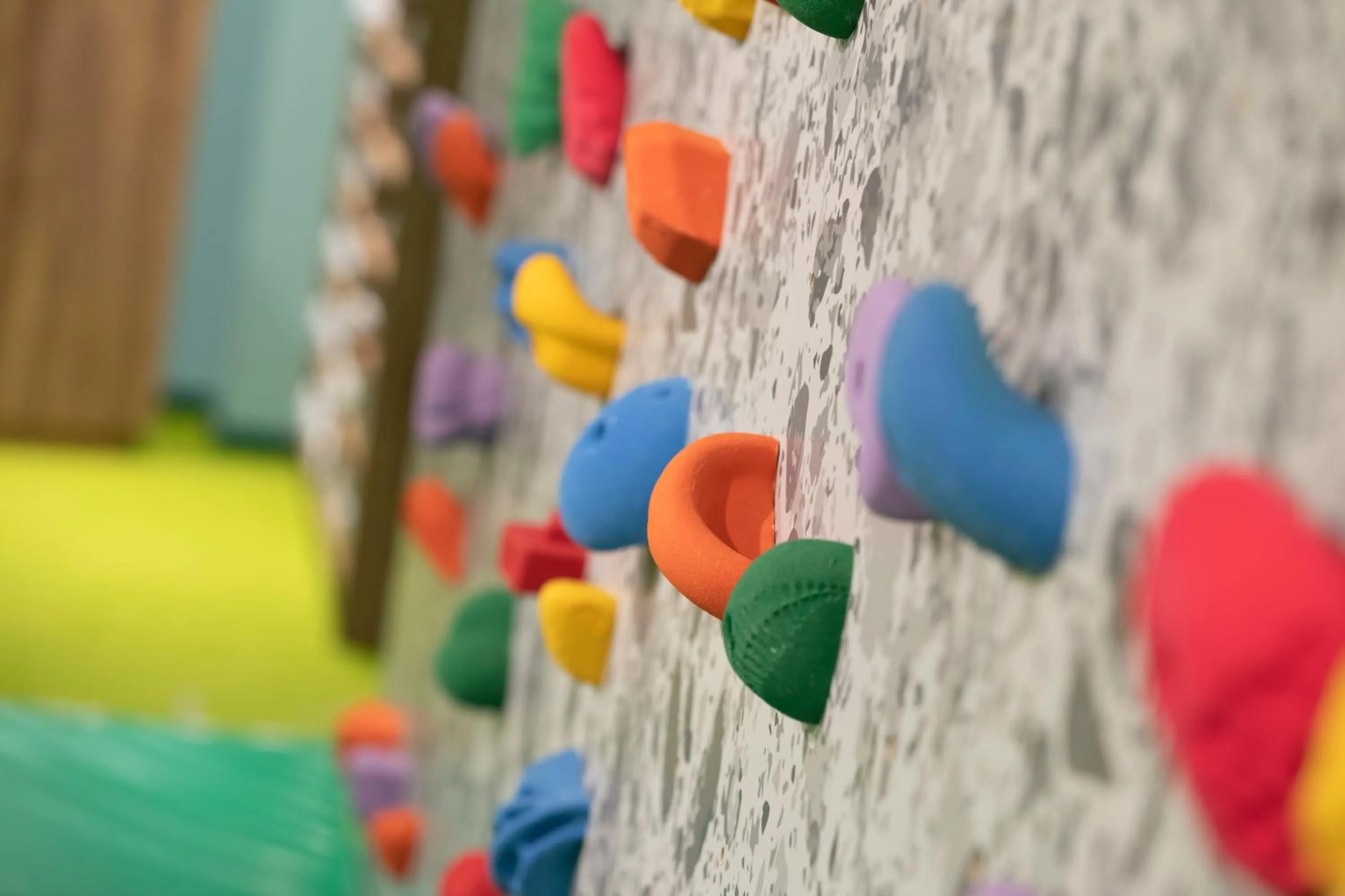 Activities in Kitayuzawa Mori no soraniwa