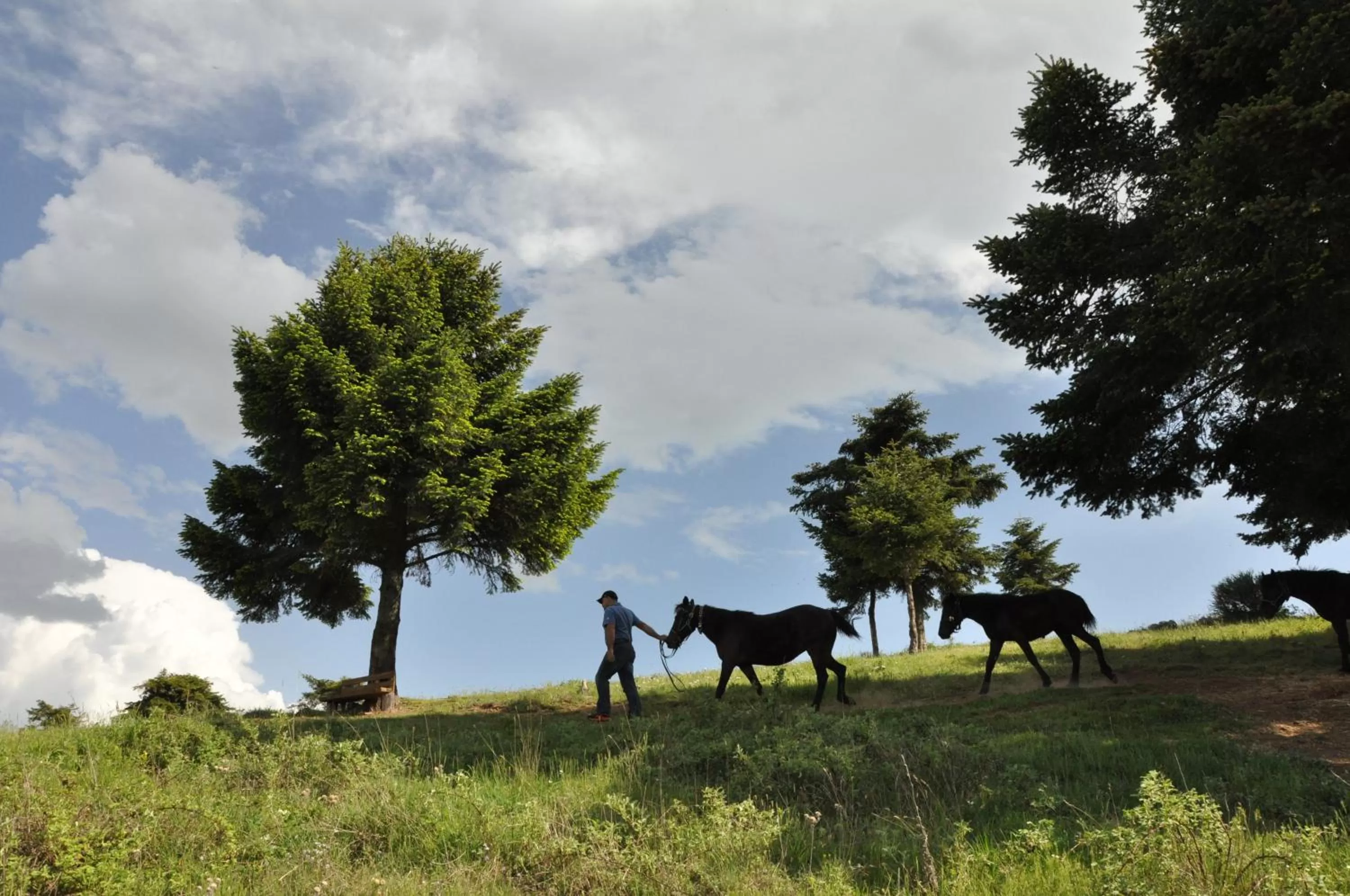 Natural landscape in Mondeus Inn Luxury