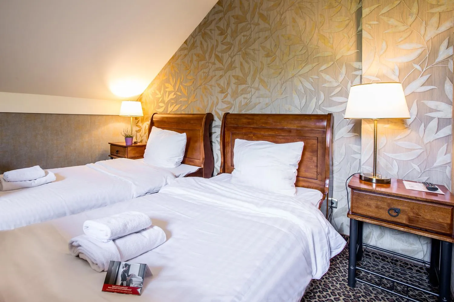 Executive Double Room in Hotel Diament Vacanza Katowice - Siemianowice