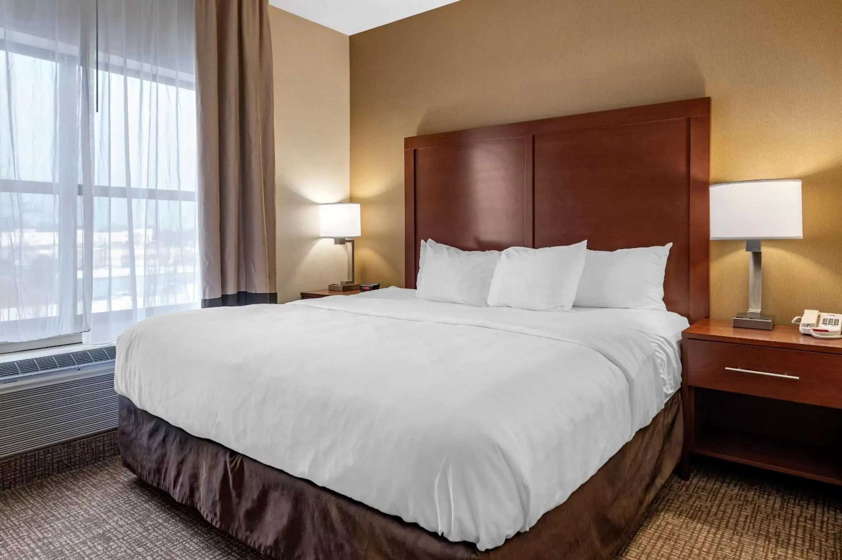 King Room in Comfort Inn King Room in Comfort Inn