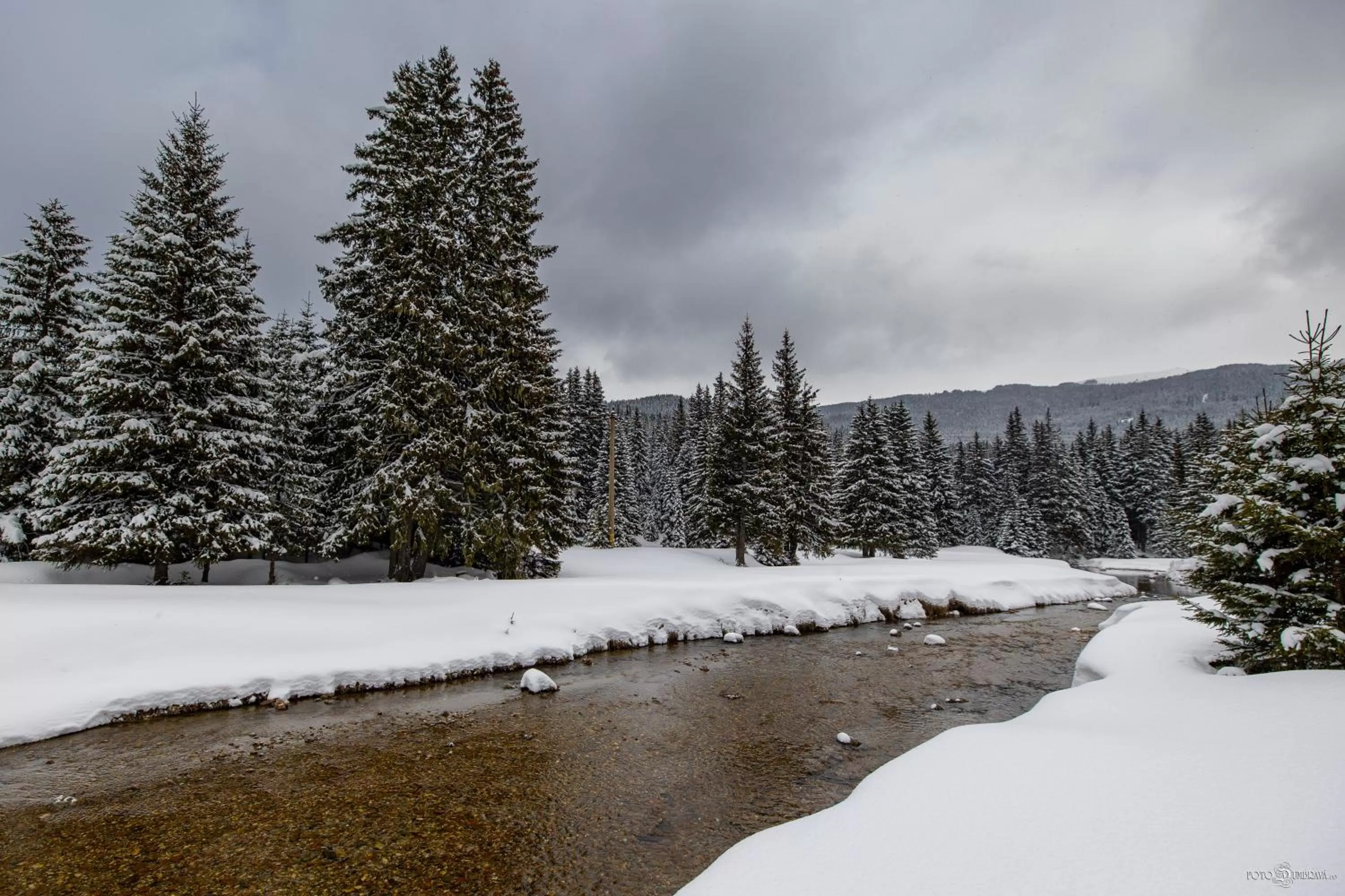 Natural landscape in Hotel Belmont & Spa
