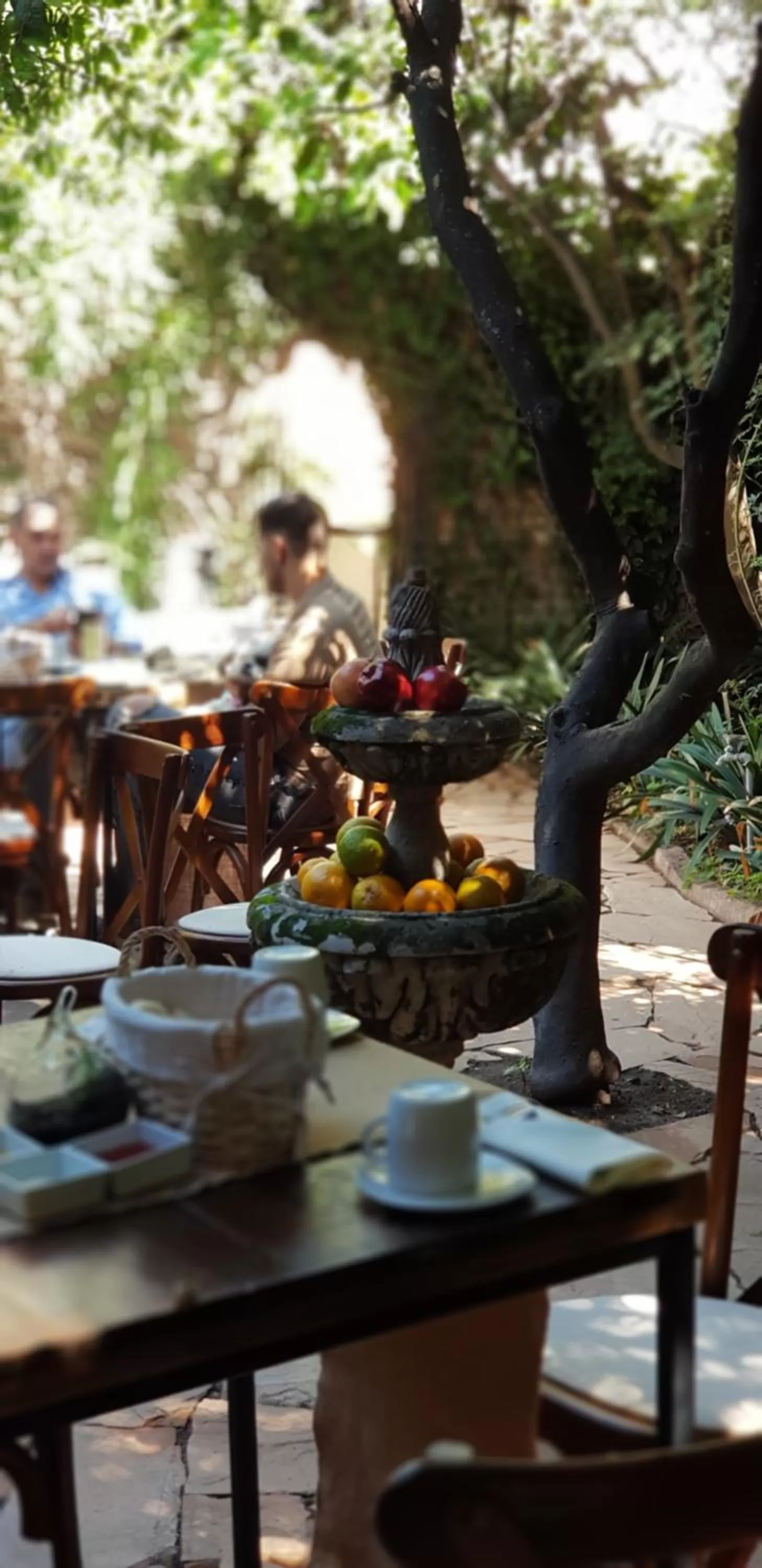 Restaurant/places to eat in Tres Fuentes Hotel Boutique