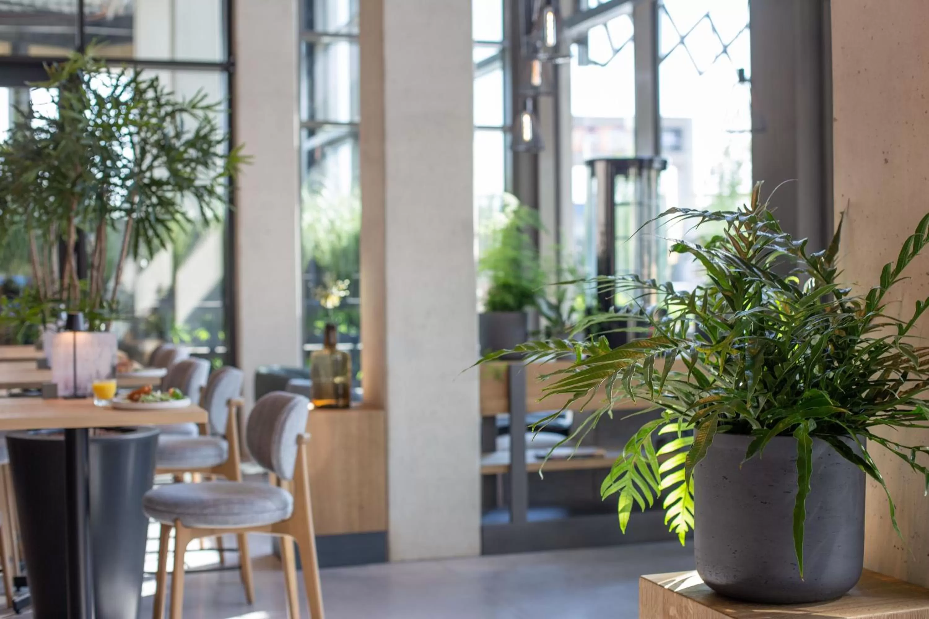 Lobby or reception in Hotel Rosveld