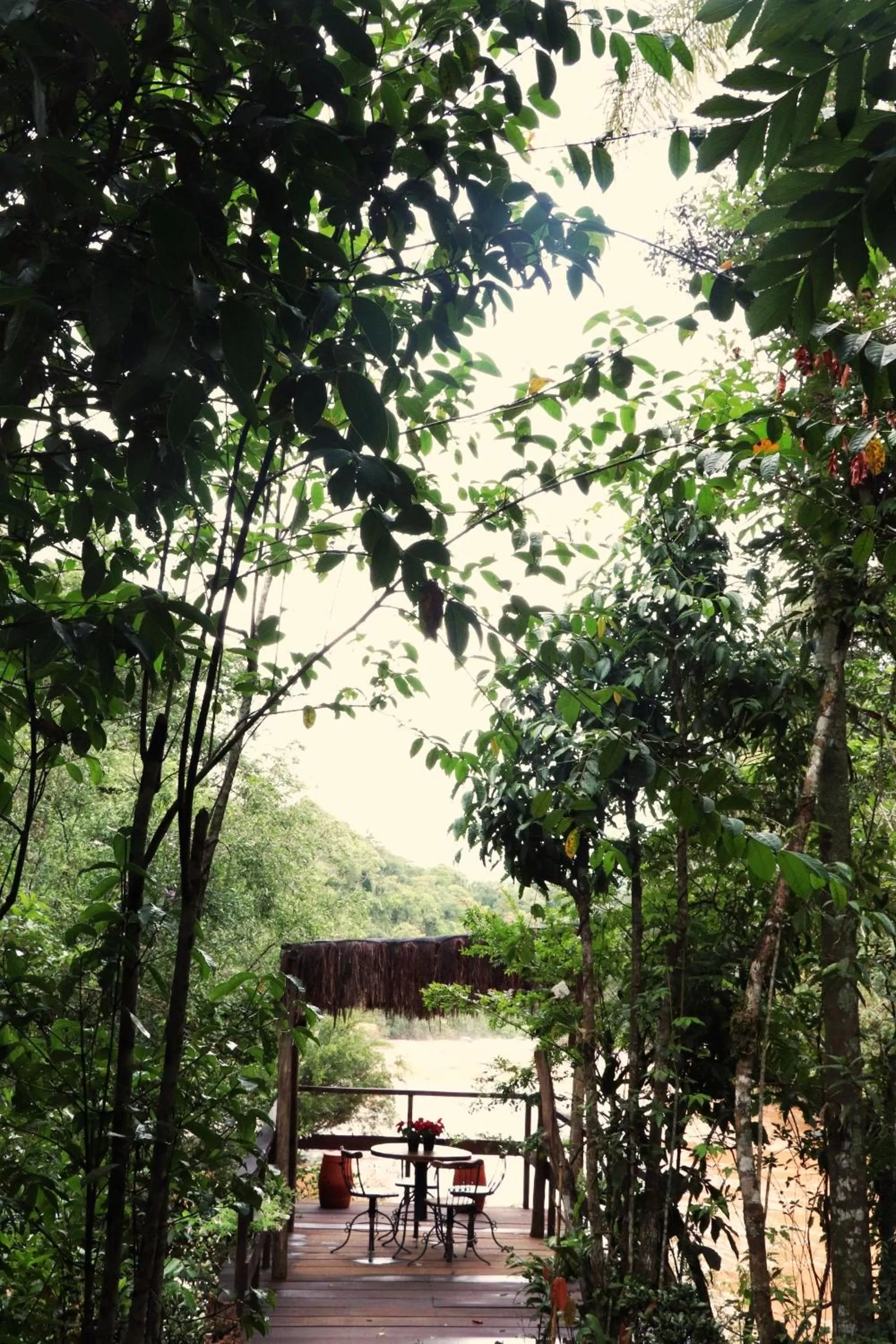 Garden in Pousada Santa Thereza