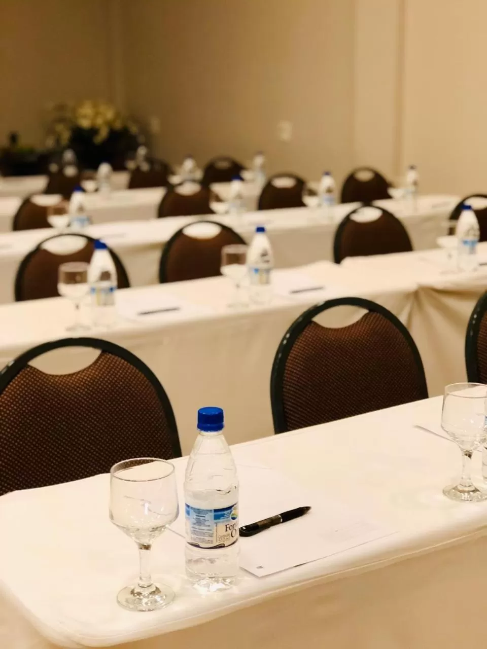 Business facilities in Viale Tower Hotel