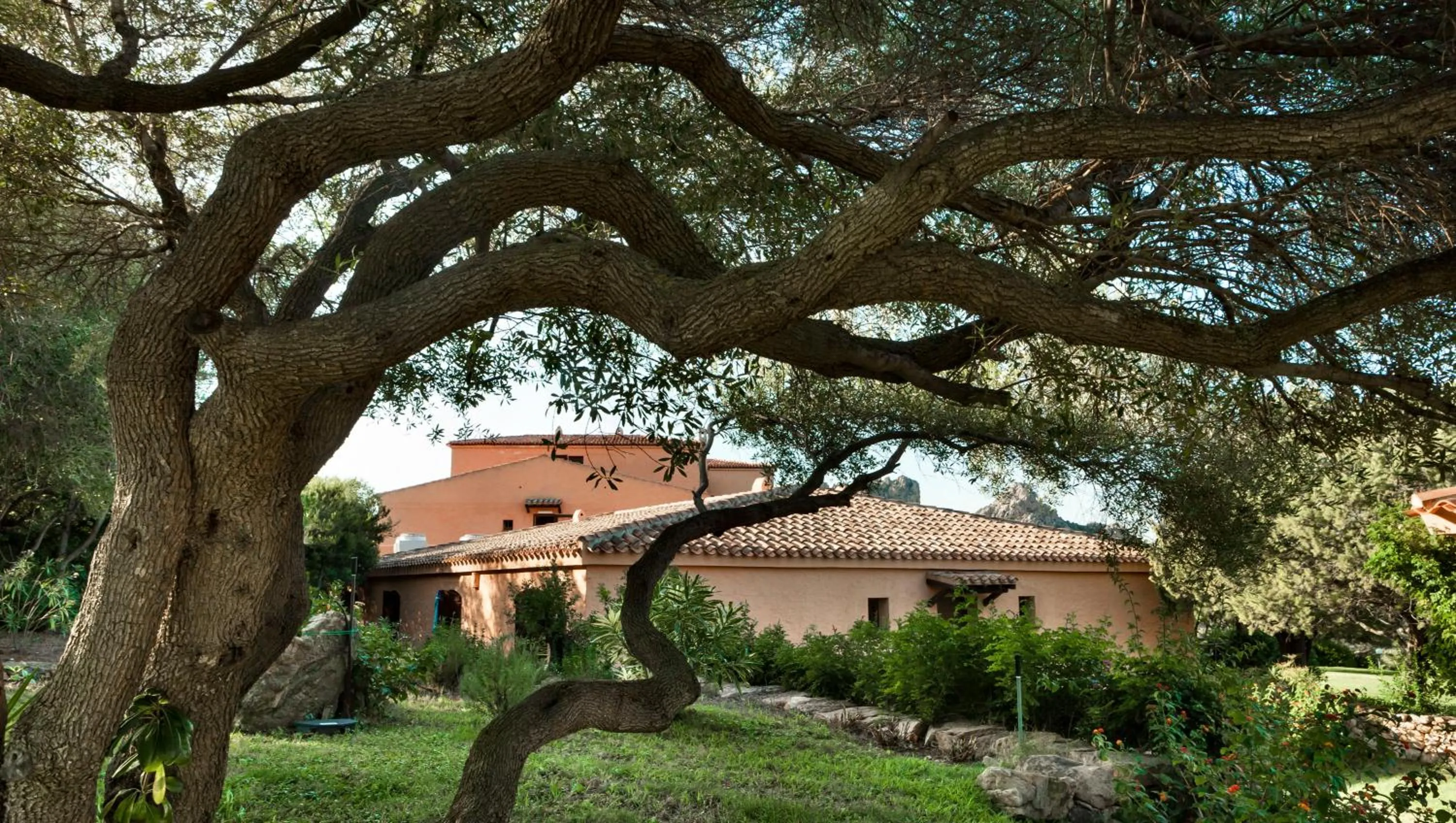 Garden in Hotel Rocce Sarde