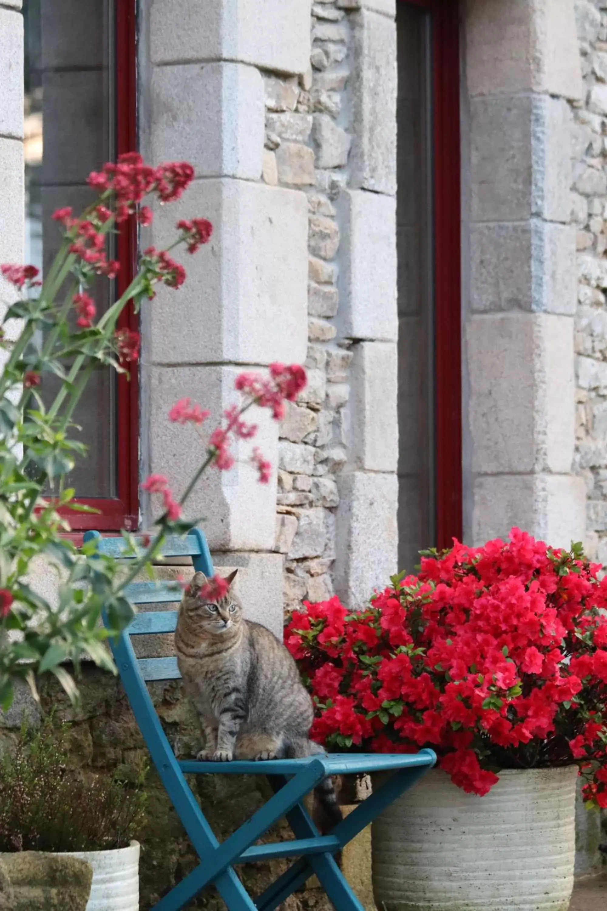 Double Room in La Petite Bérais Double Room in La Petite Bérais