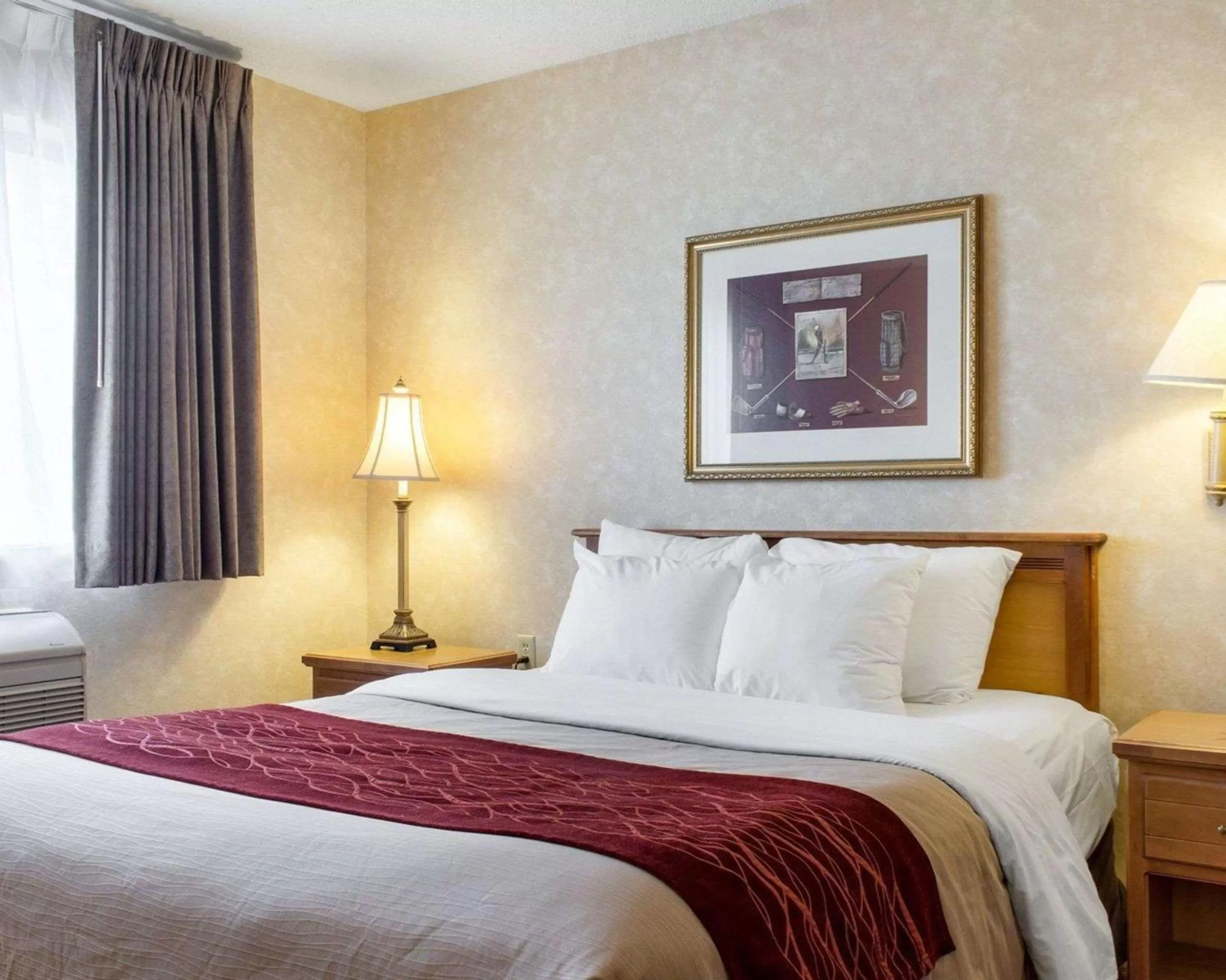 Photo of the whole room, Bed in Quality Inn Brandon - Sioux Falls