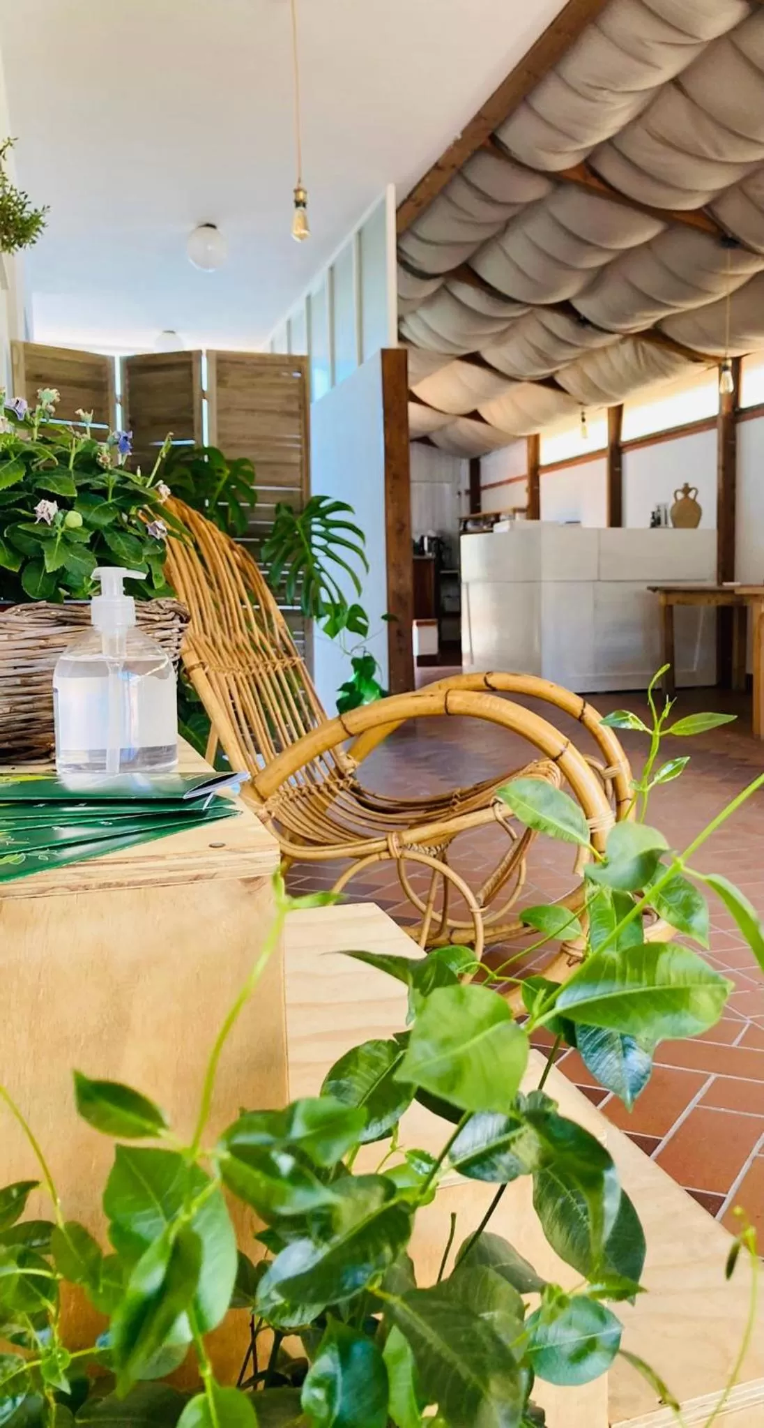 Garden in B&B BELLAMI'